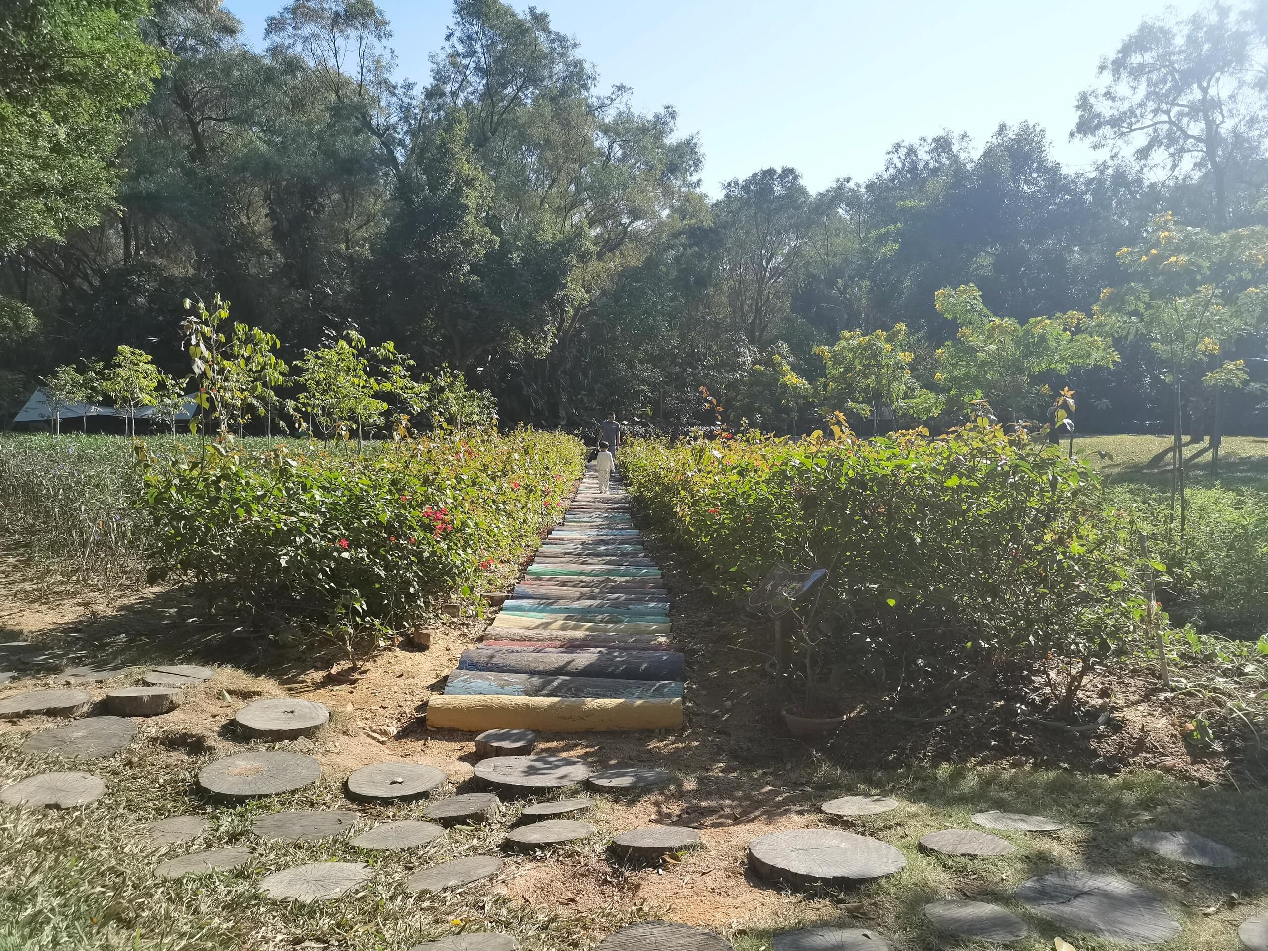 梅华城市花园旅行图片 3
