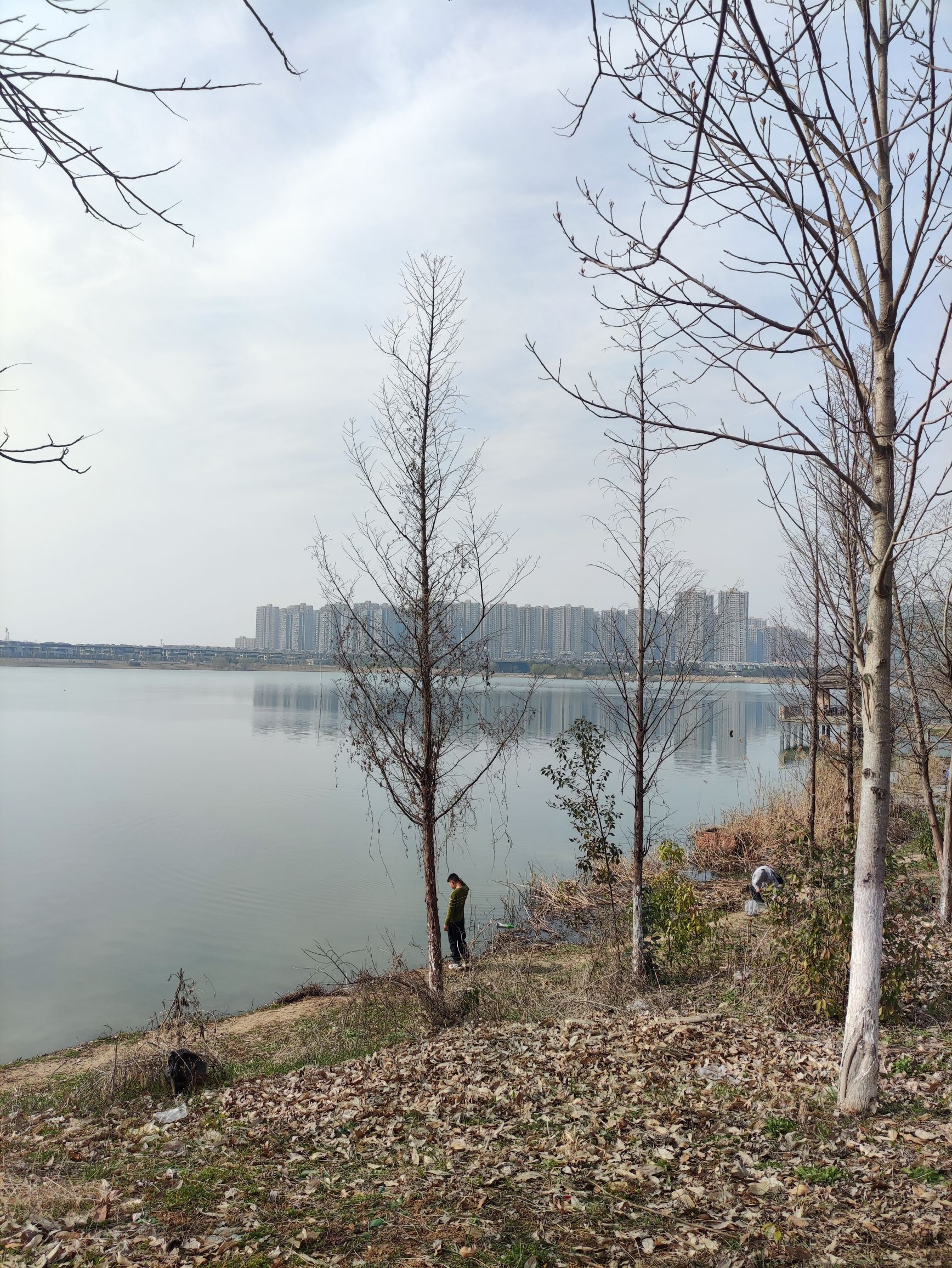 梅冲湖公园旅行图片 1