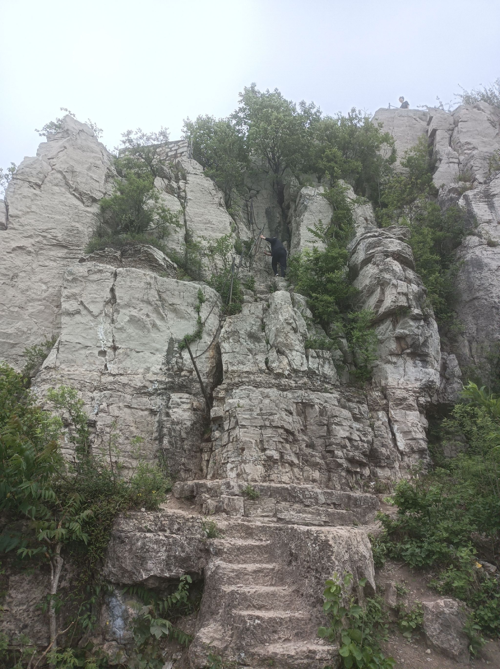曾子山旅行图片 3