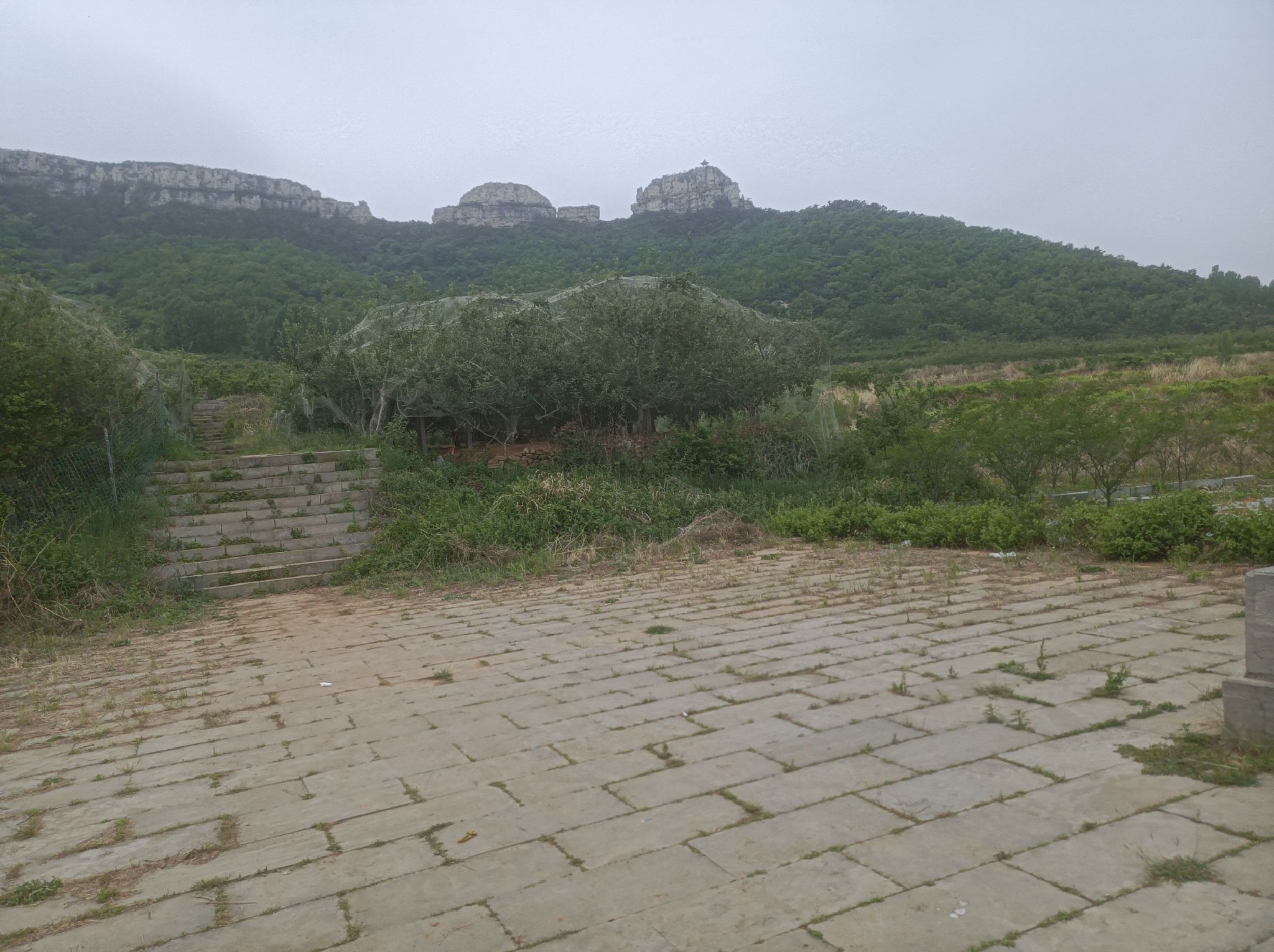 曾子山旅行图片 2