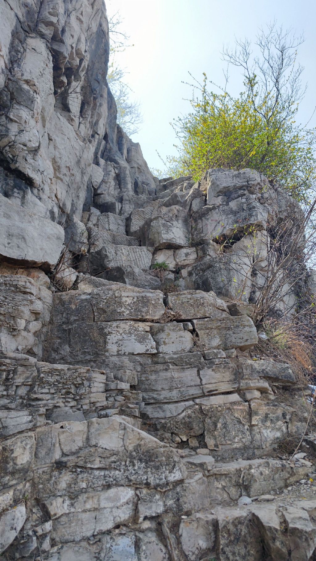 曾子山旅行图片 2