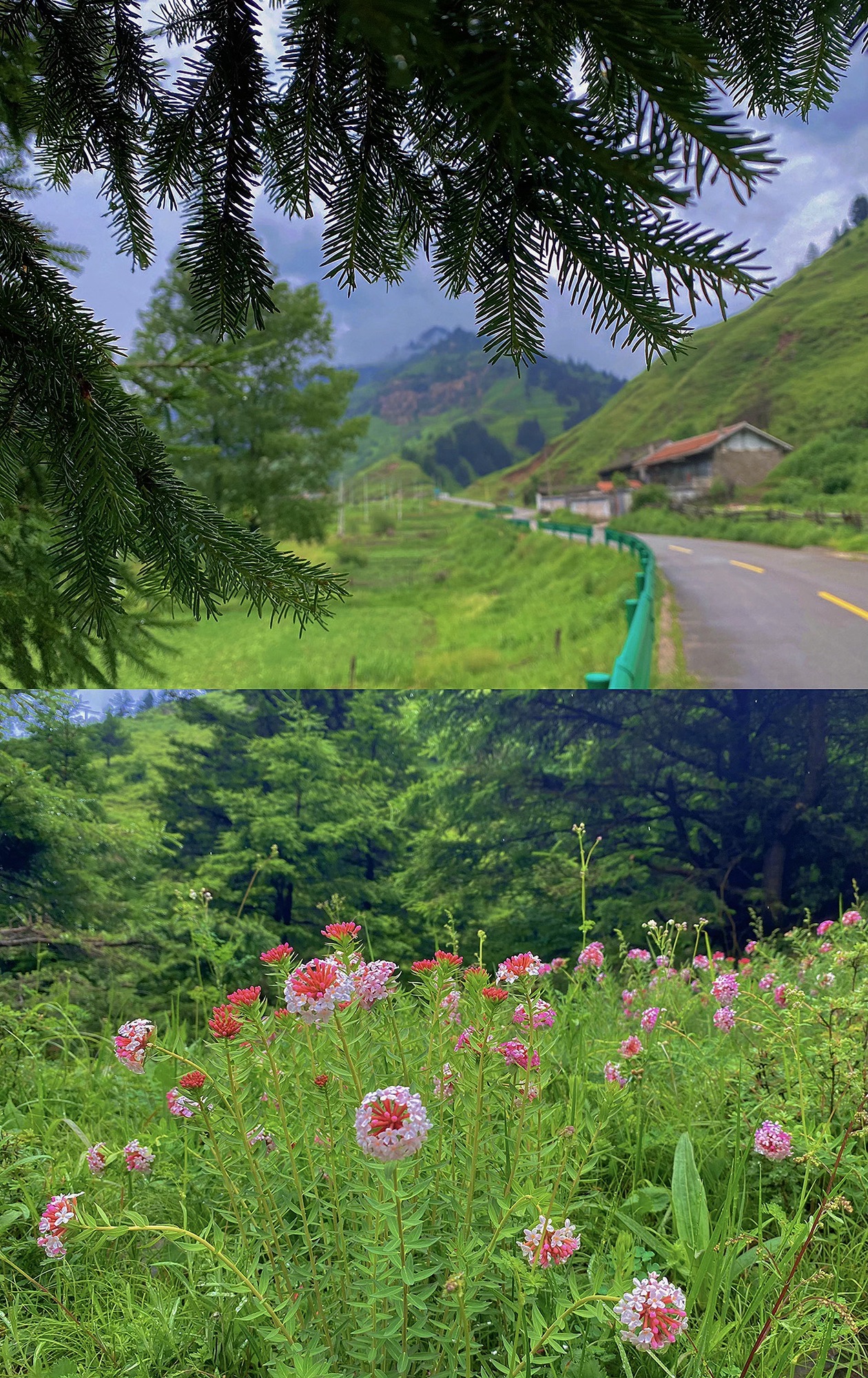管涔山国家森林公园