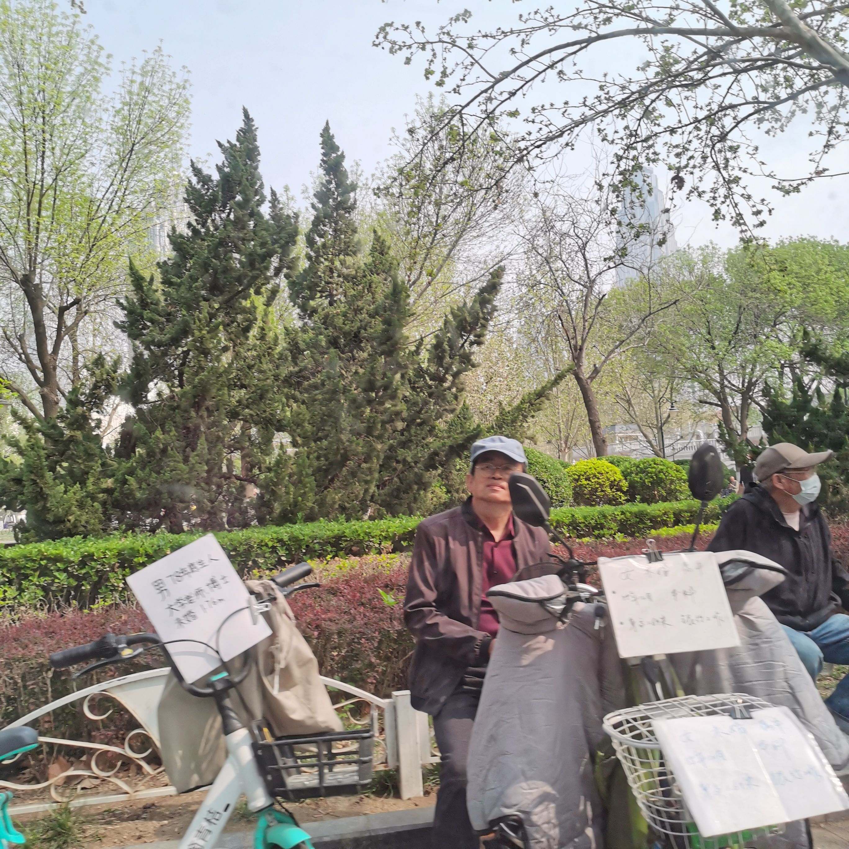 中心公园旅行图片 3