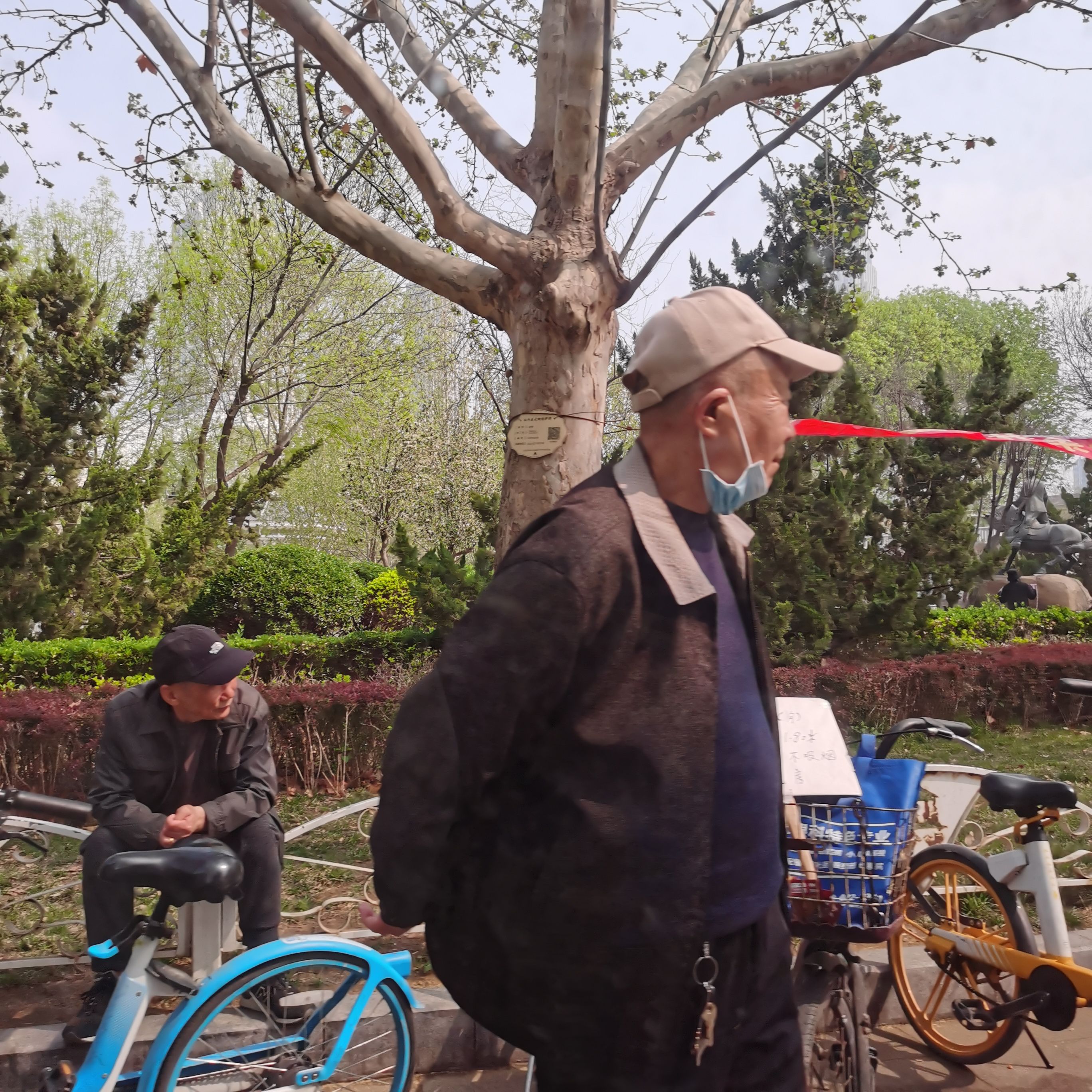 中心公园旅行图片 1