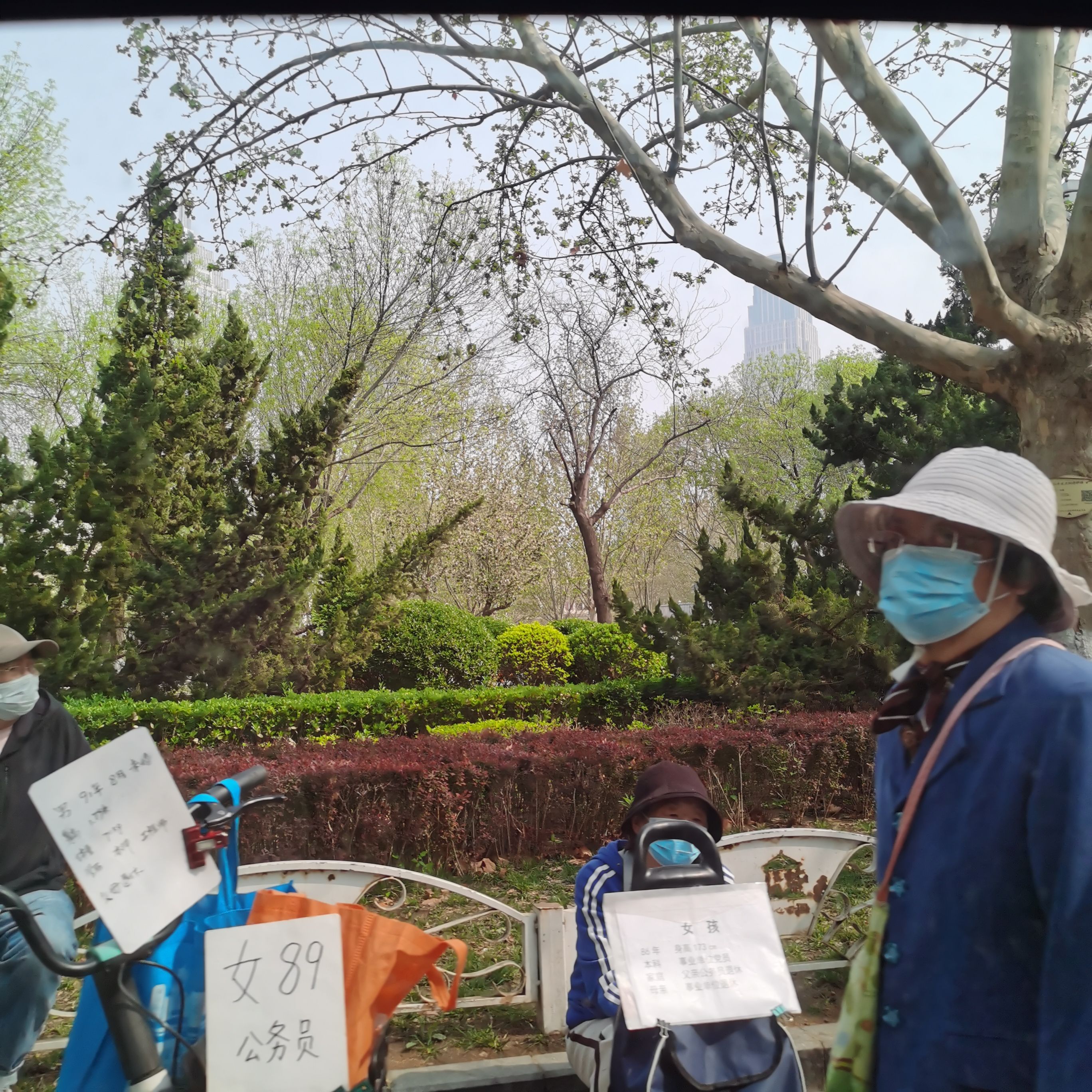 中心公园旅行图片 2