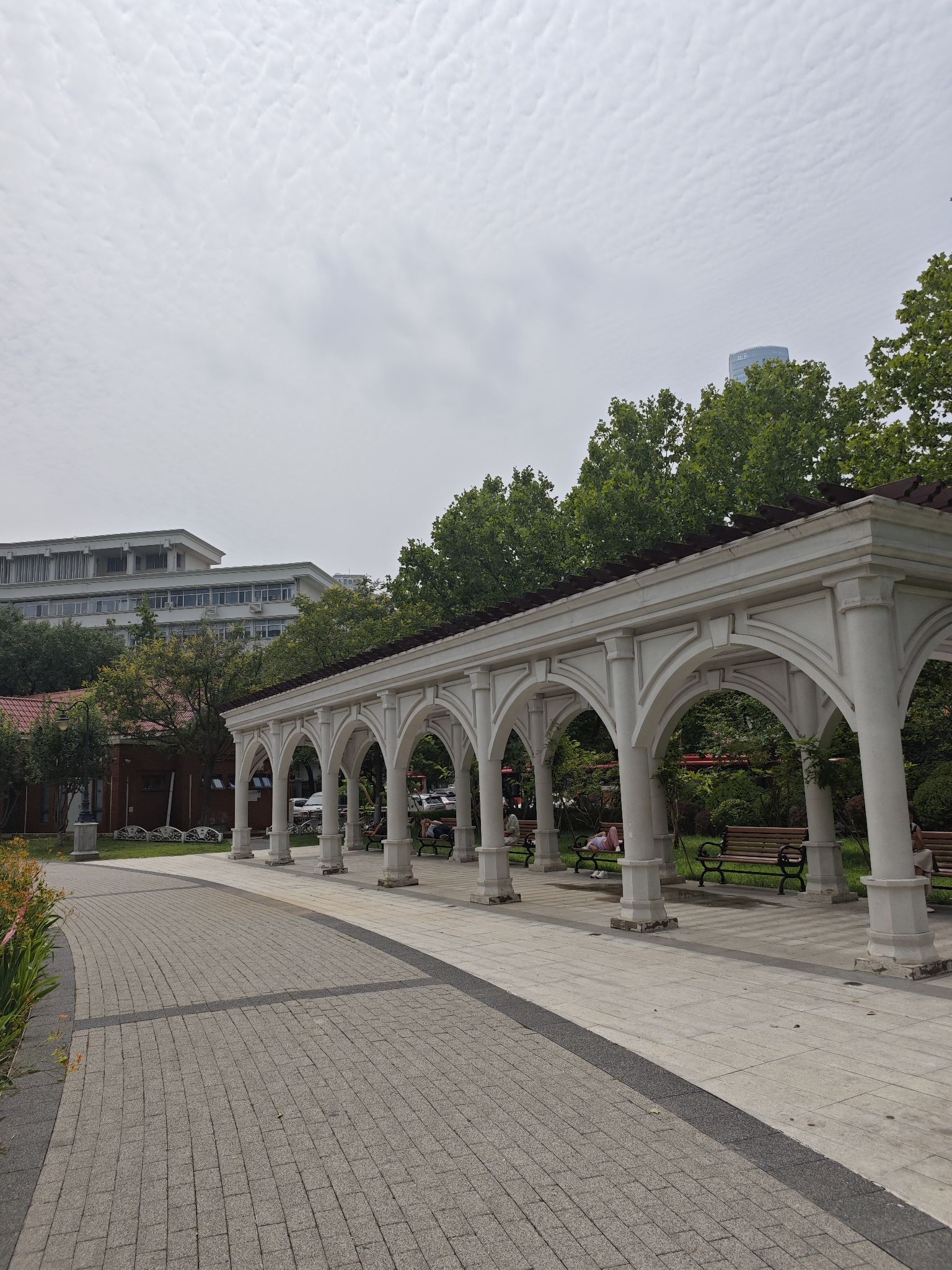 中心公园旅行图片 3