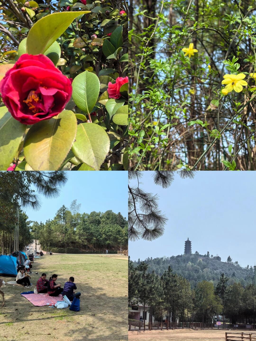 湘潭盘龙大观园旅行图片 2