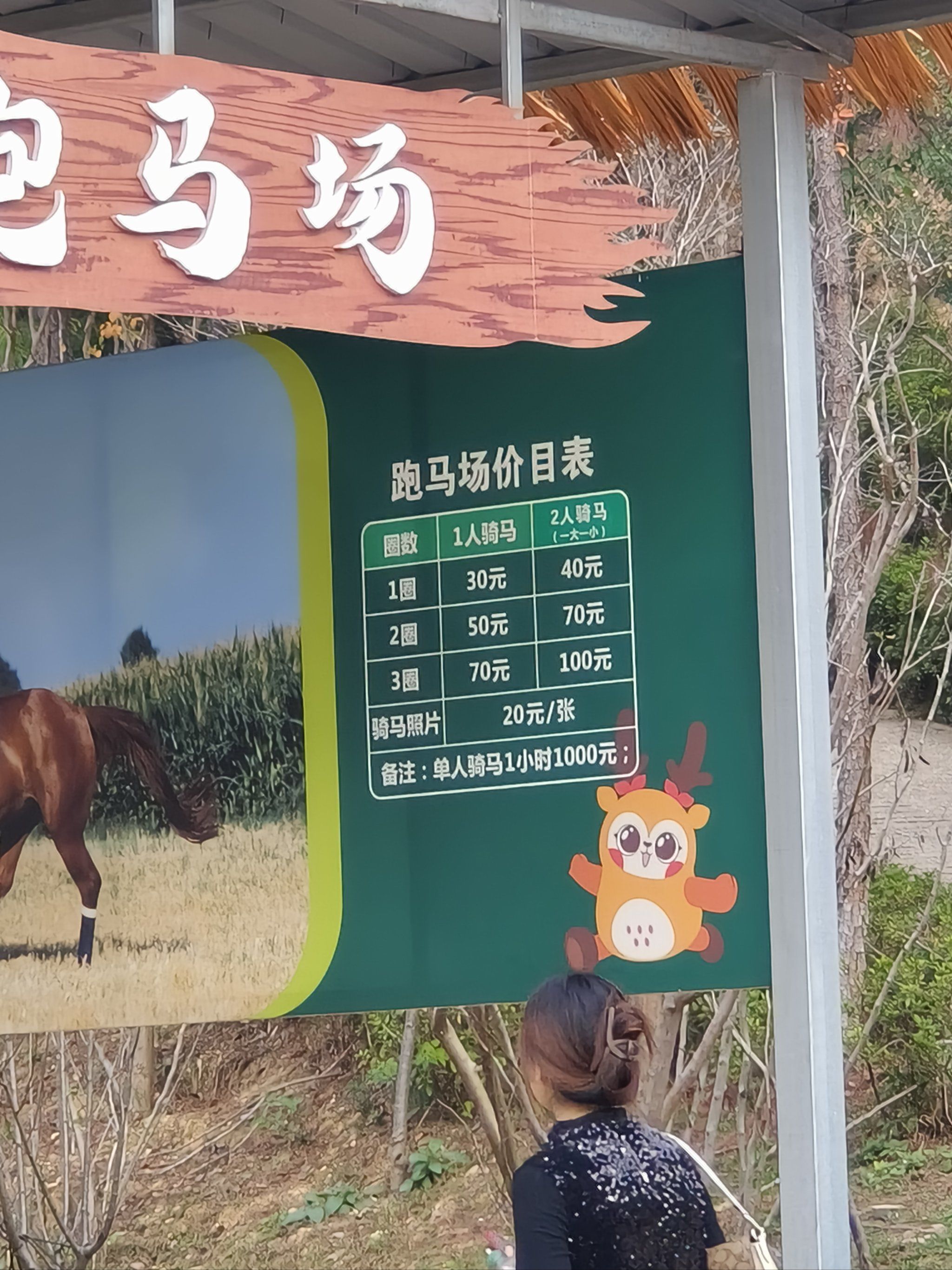 湘潭盘龙大观园旅行图片 3