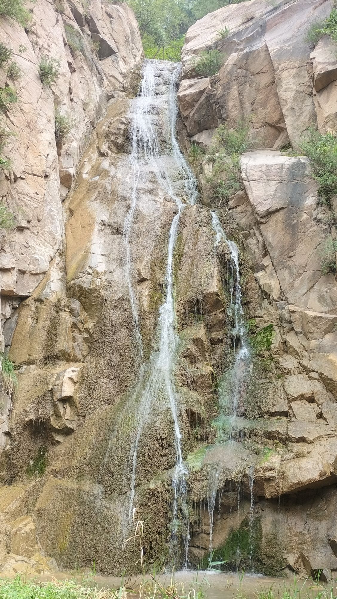 九龙山旅行图片 2