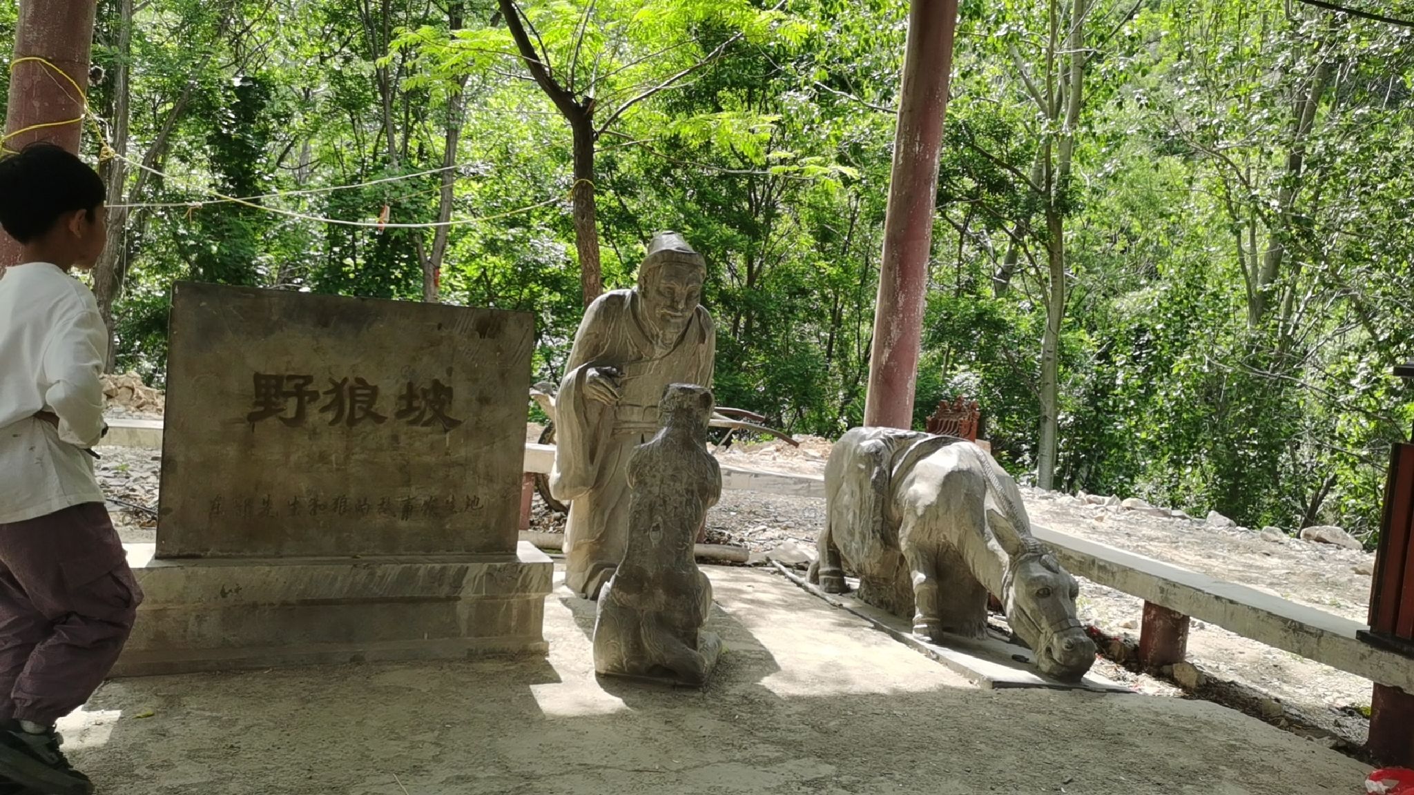 九龙山旅行图片 2