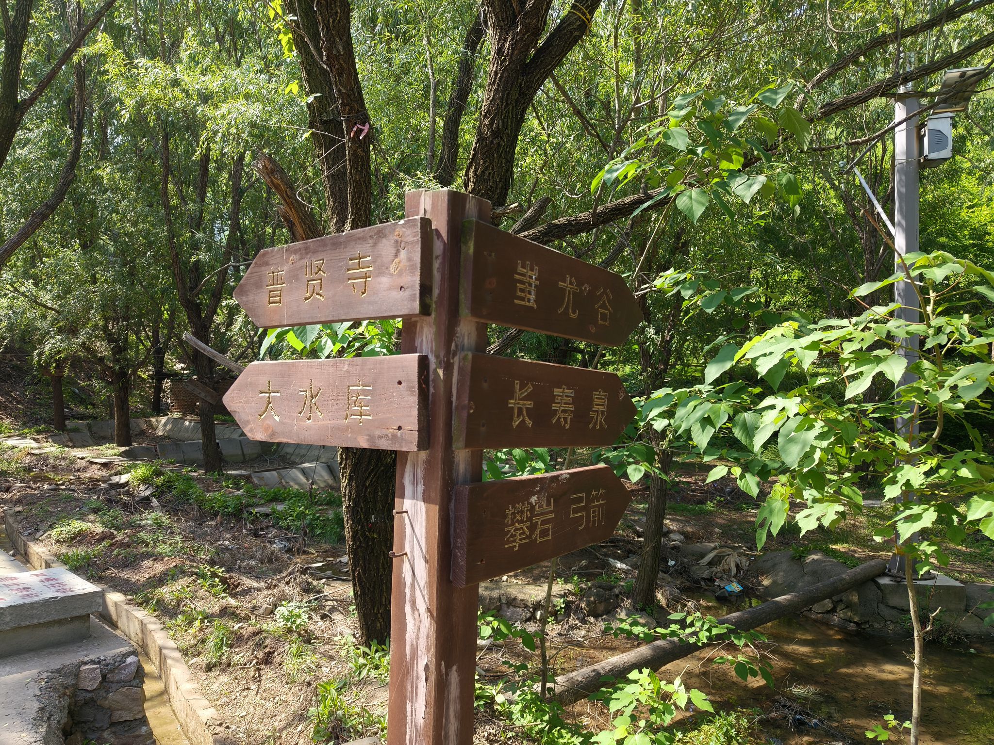 九龙山旅行图片 2