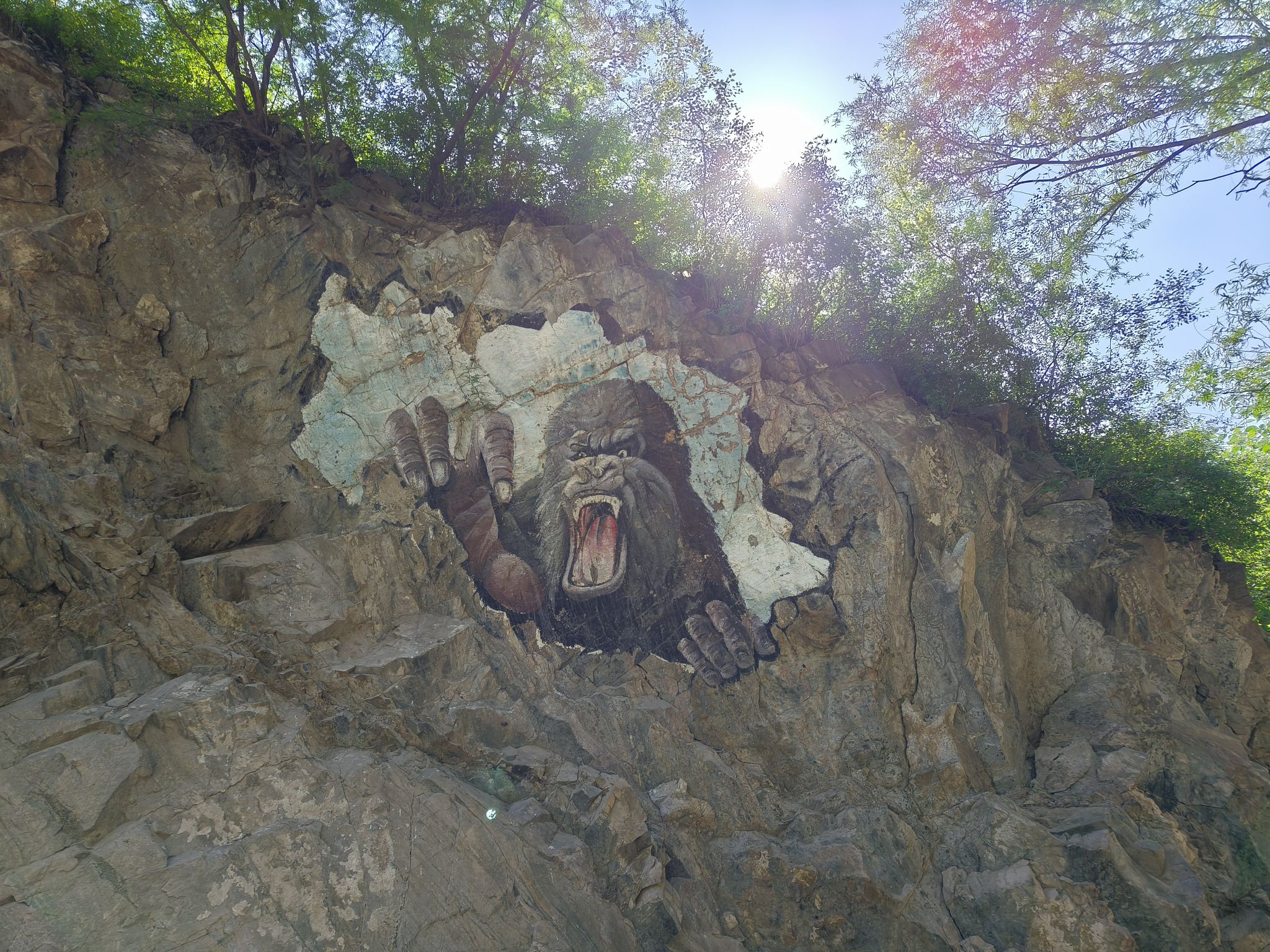 九龙山旅行图片 3