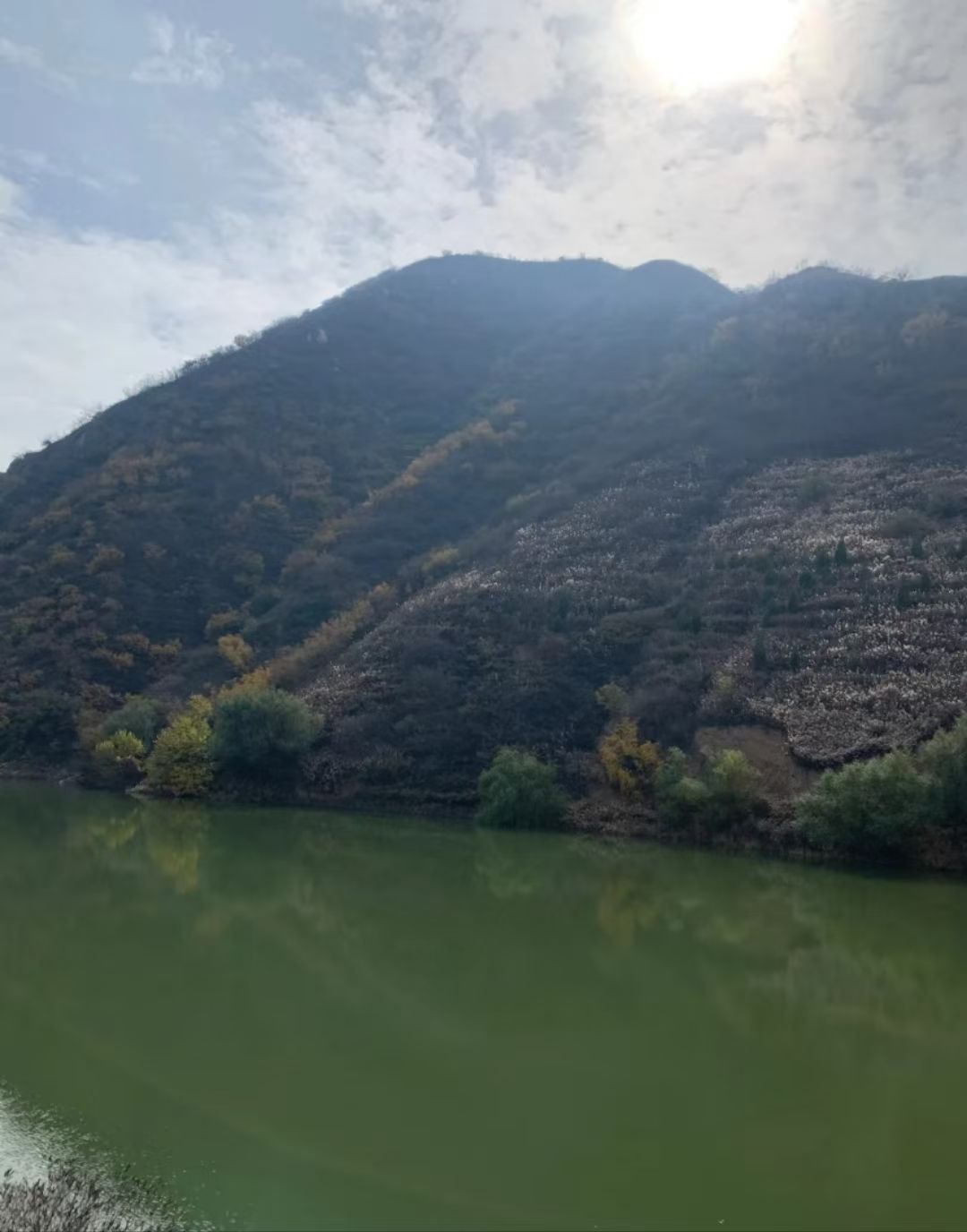 九龙山旅行图片 1
