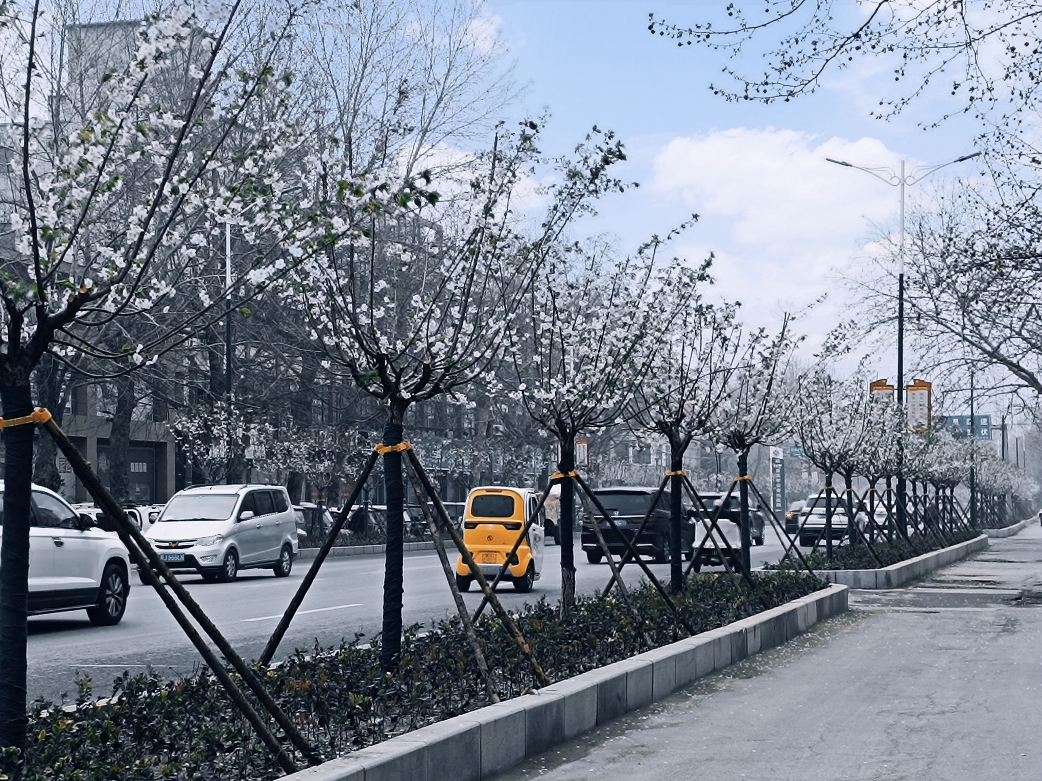 兴财苑旅行图片 1