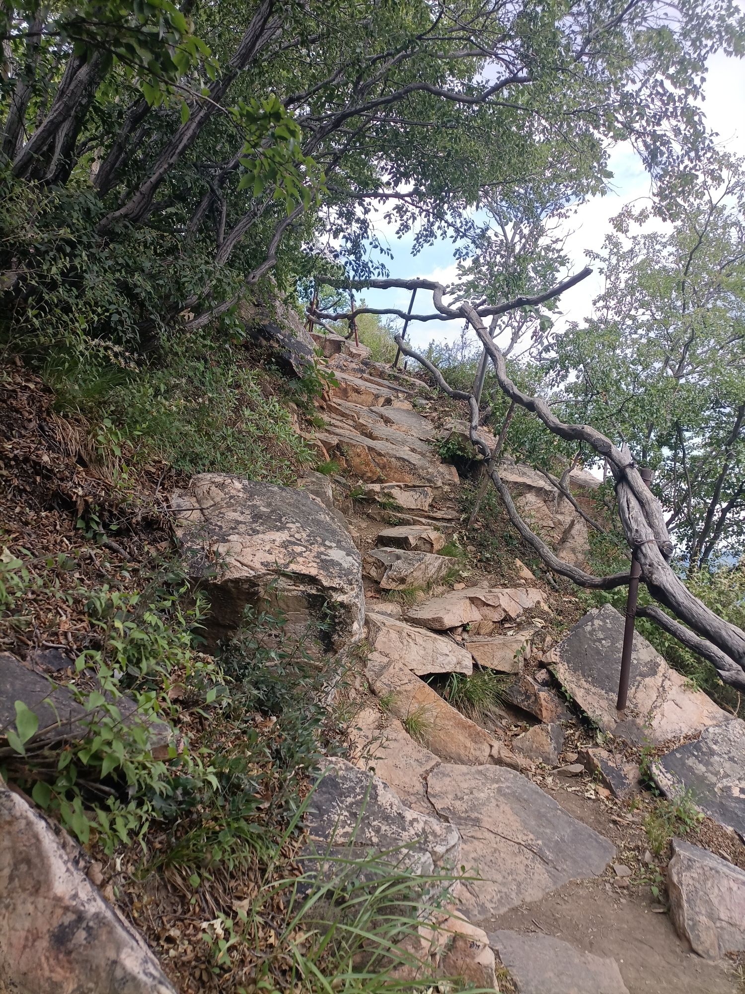 九山顶自然风景区旅行图片 3