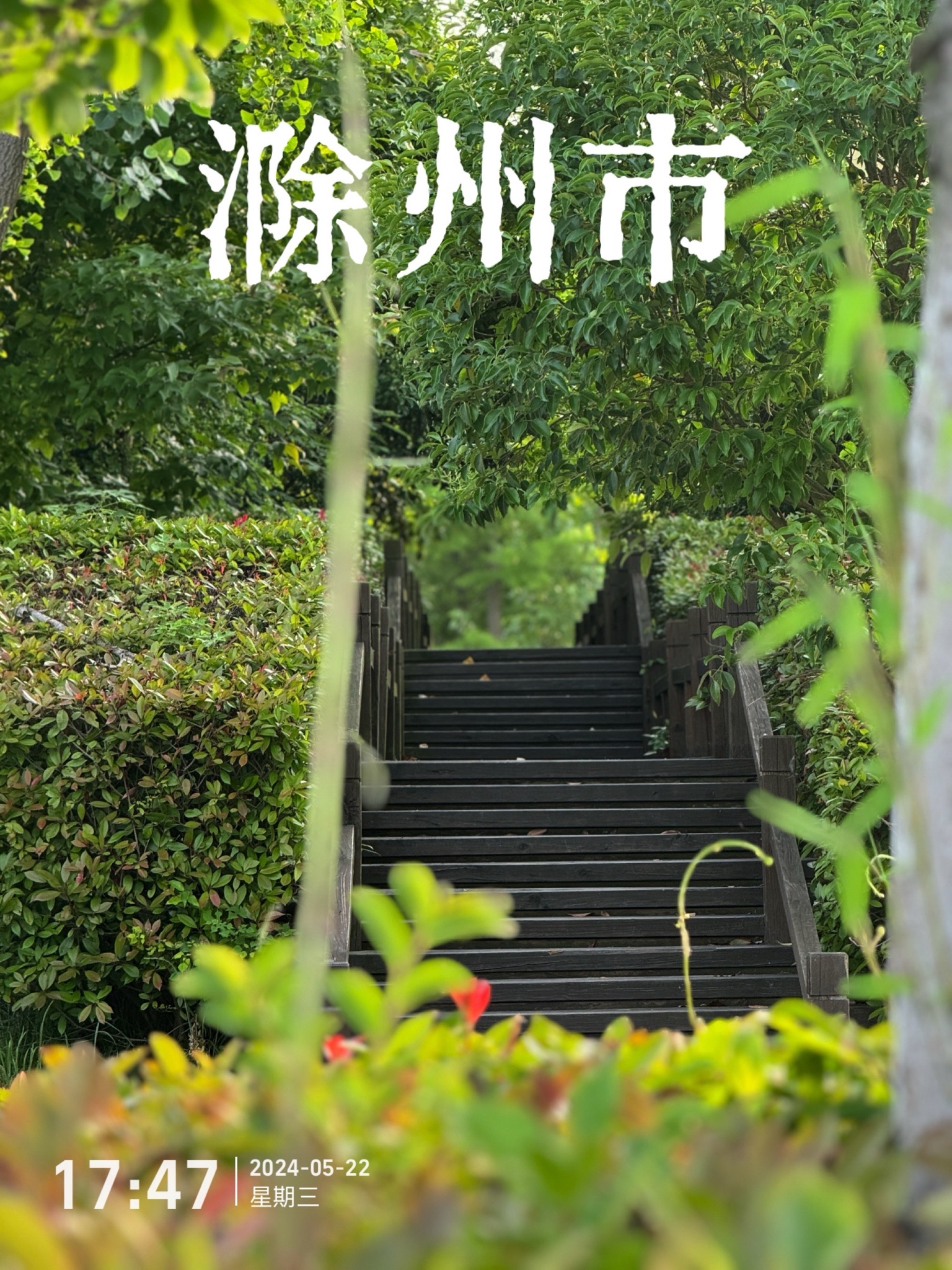双洪生态文化公园旅行图片 1