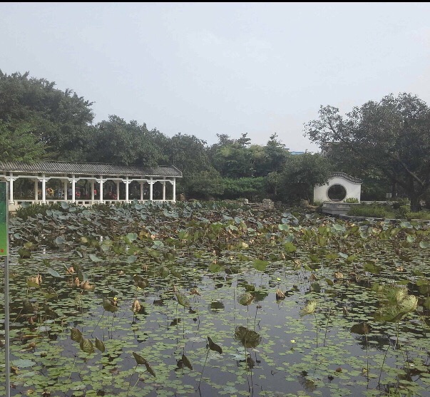 东涌公园旅行图片 2