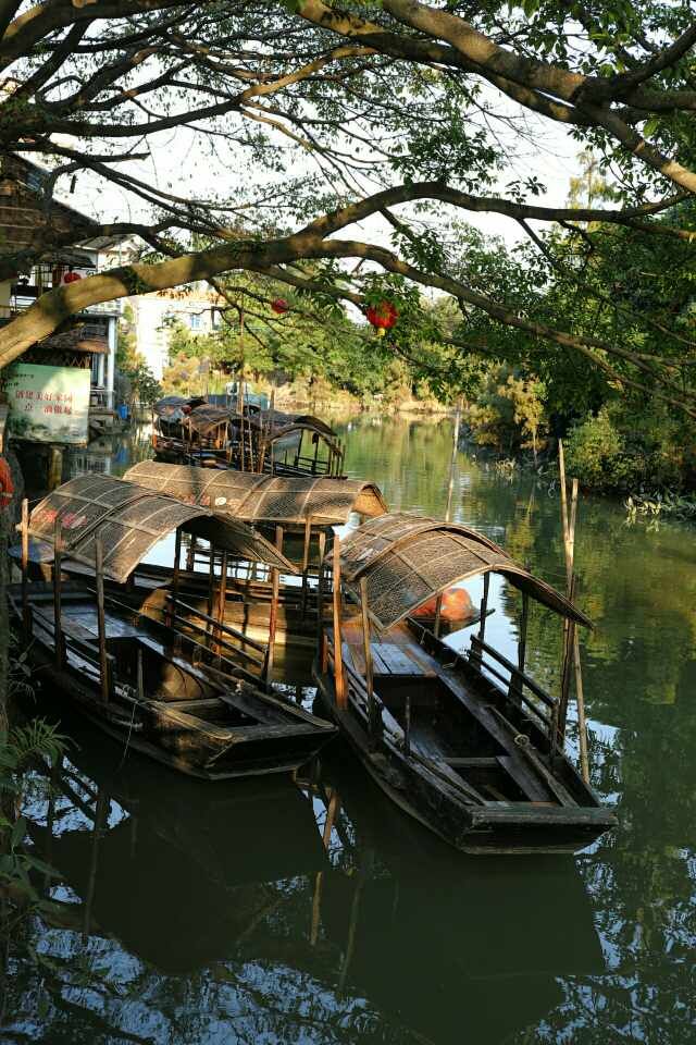 东涌公园旅行图片 1