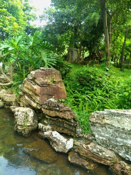 东涌公园旅行图片 3