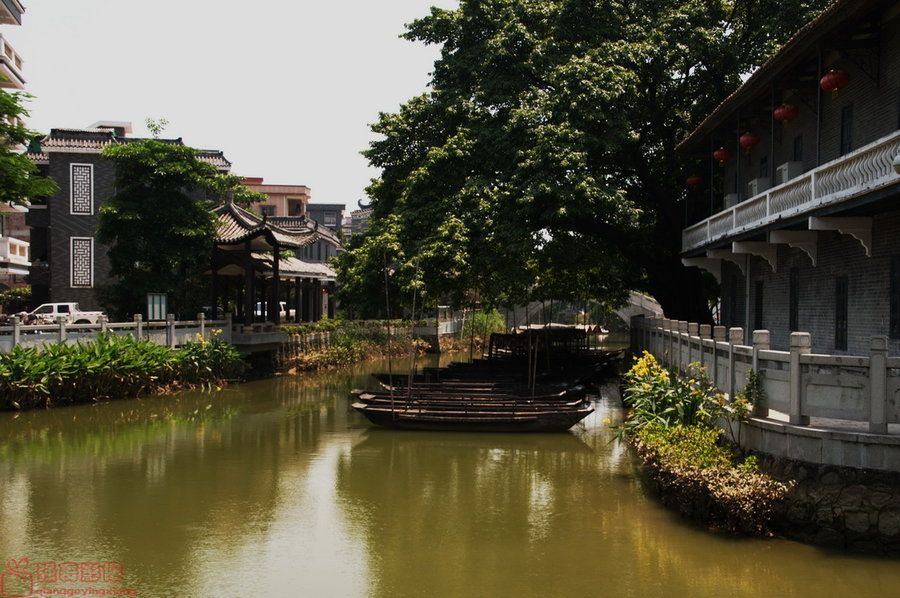 东涌公园旅行图片 3