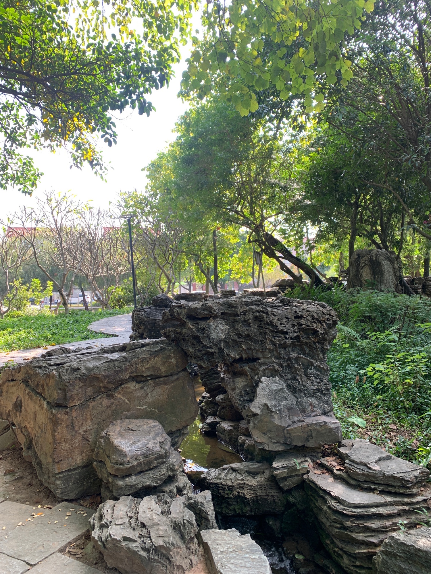东涌公园旅行图片 1