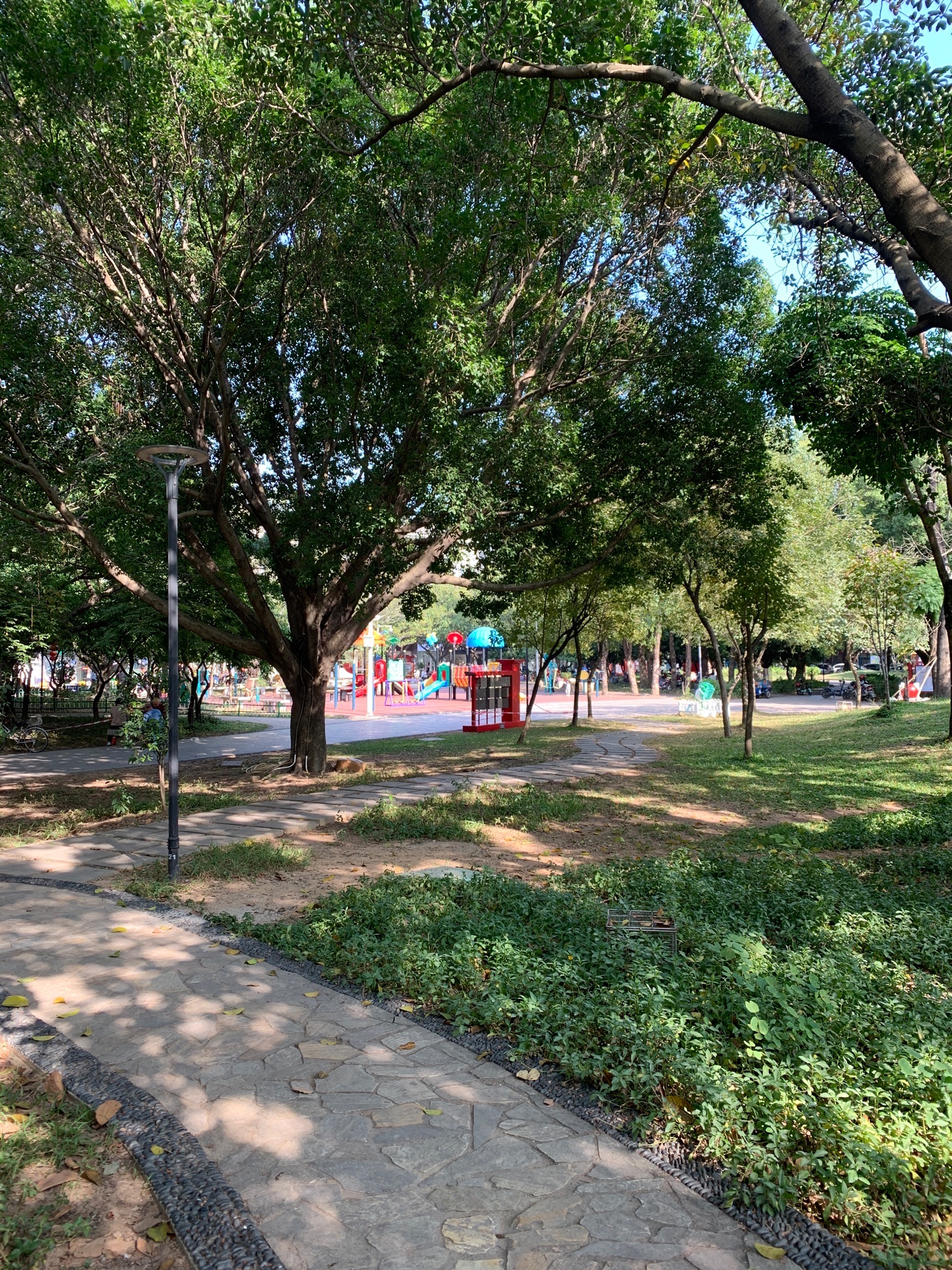 东涌公园旅行图片 2