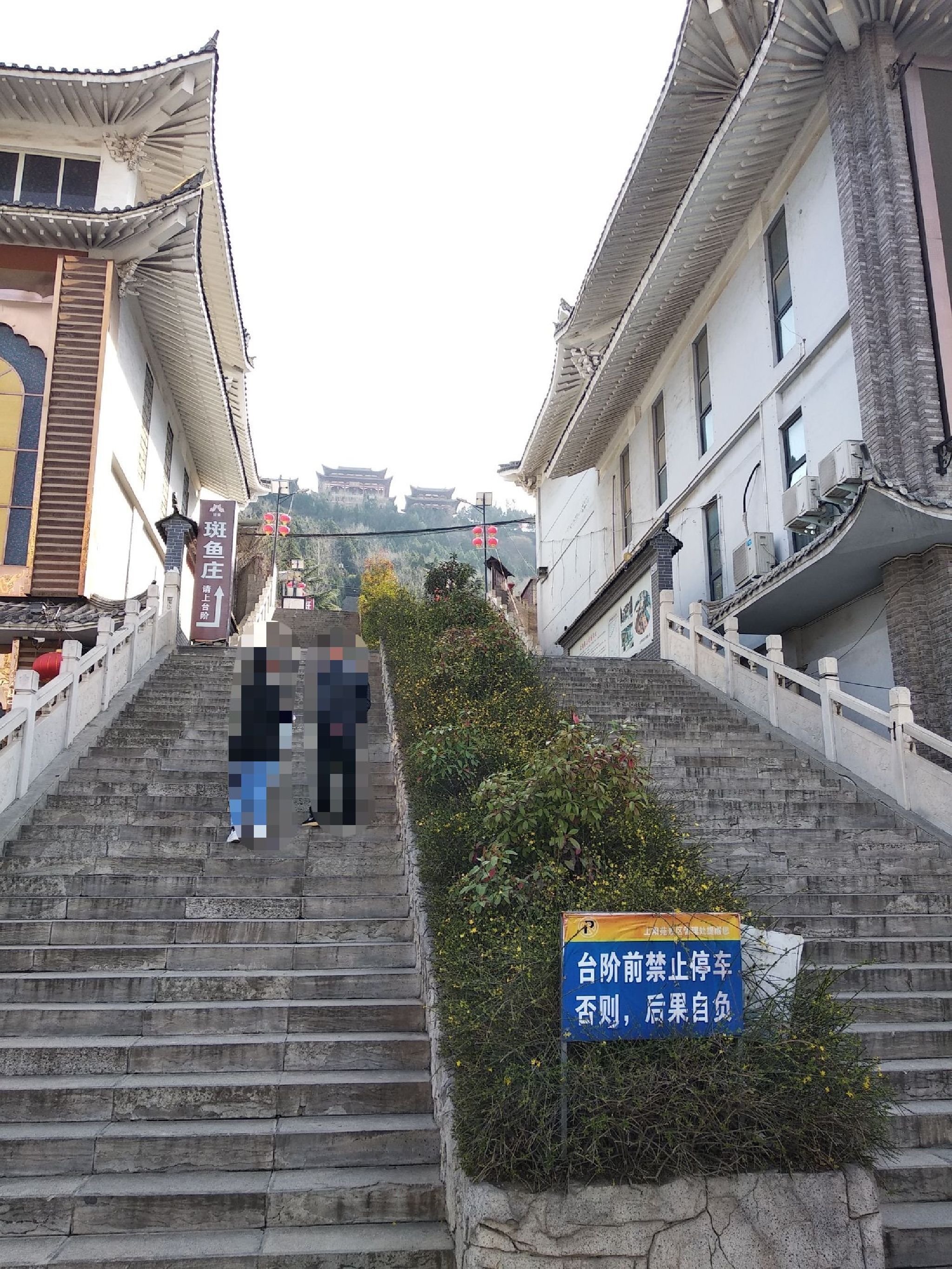 上阳苑旅行图片 2