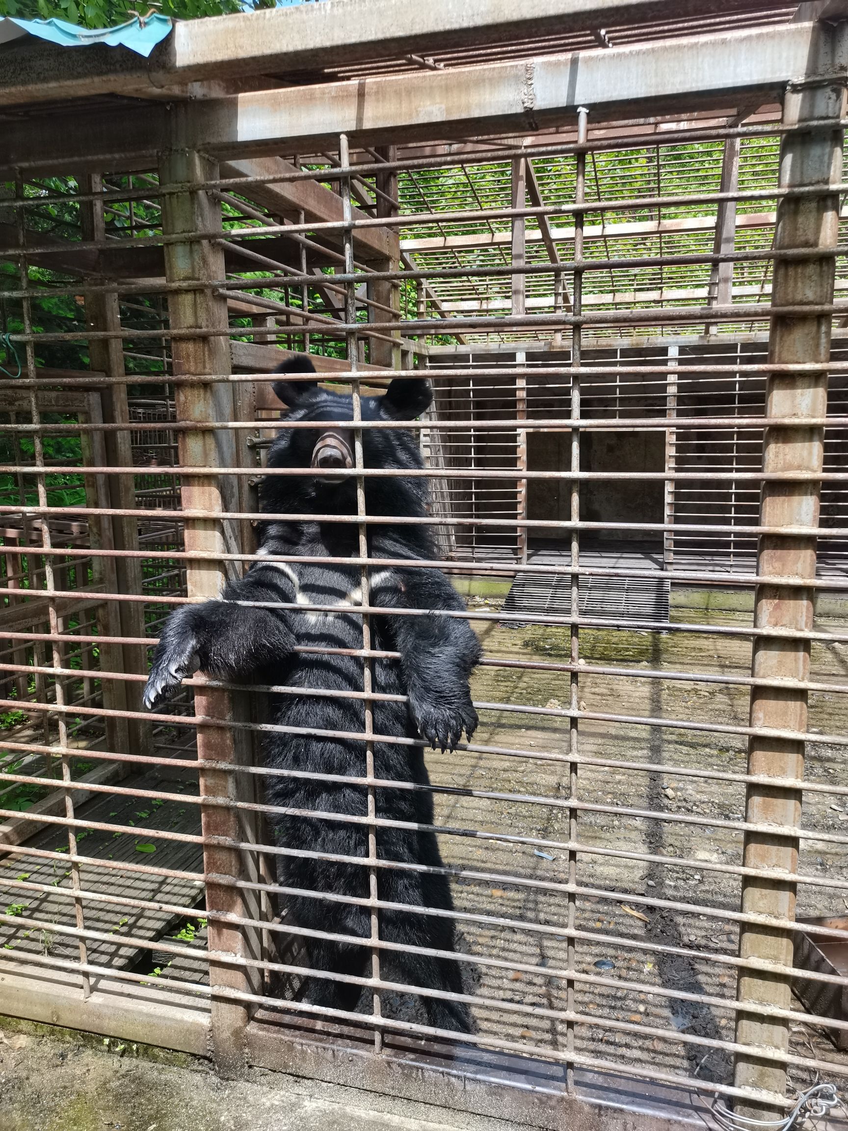 威虎山国家森林公园旅行图片 3