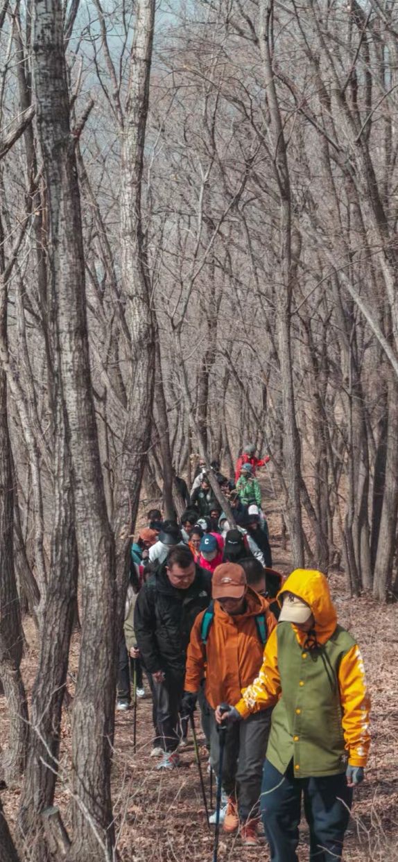 威虎山国家森林公园旅行图片 2