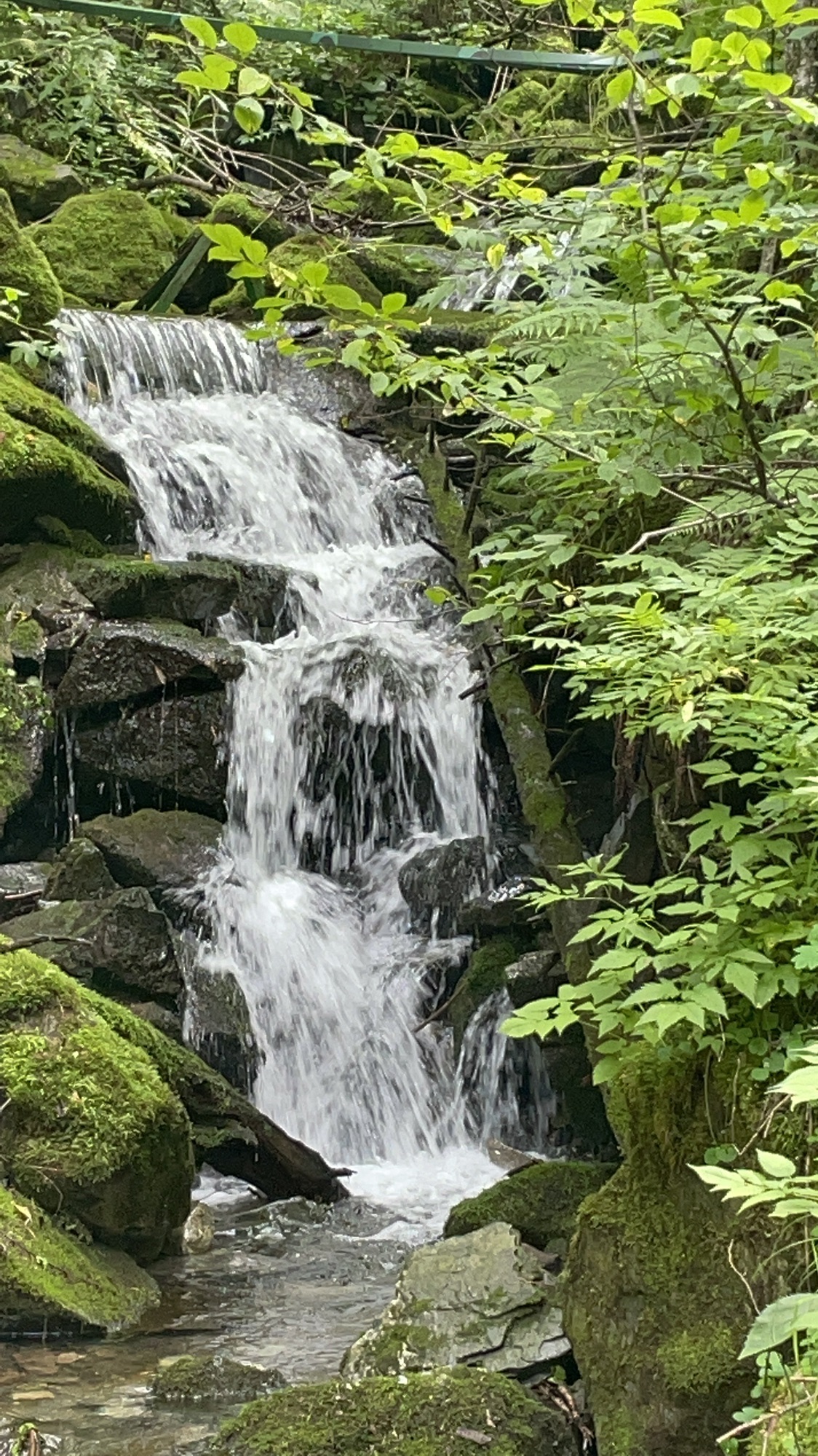 威虎山国家森林公园旅行图片 3