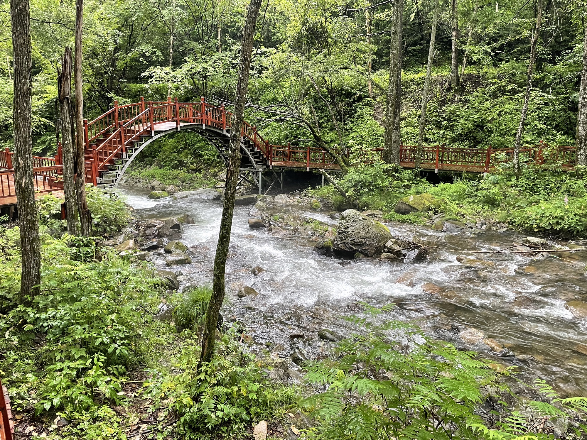 威虎山国家森林公园旅行图片 2