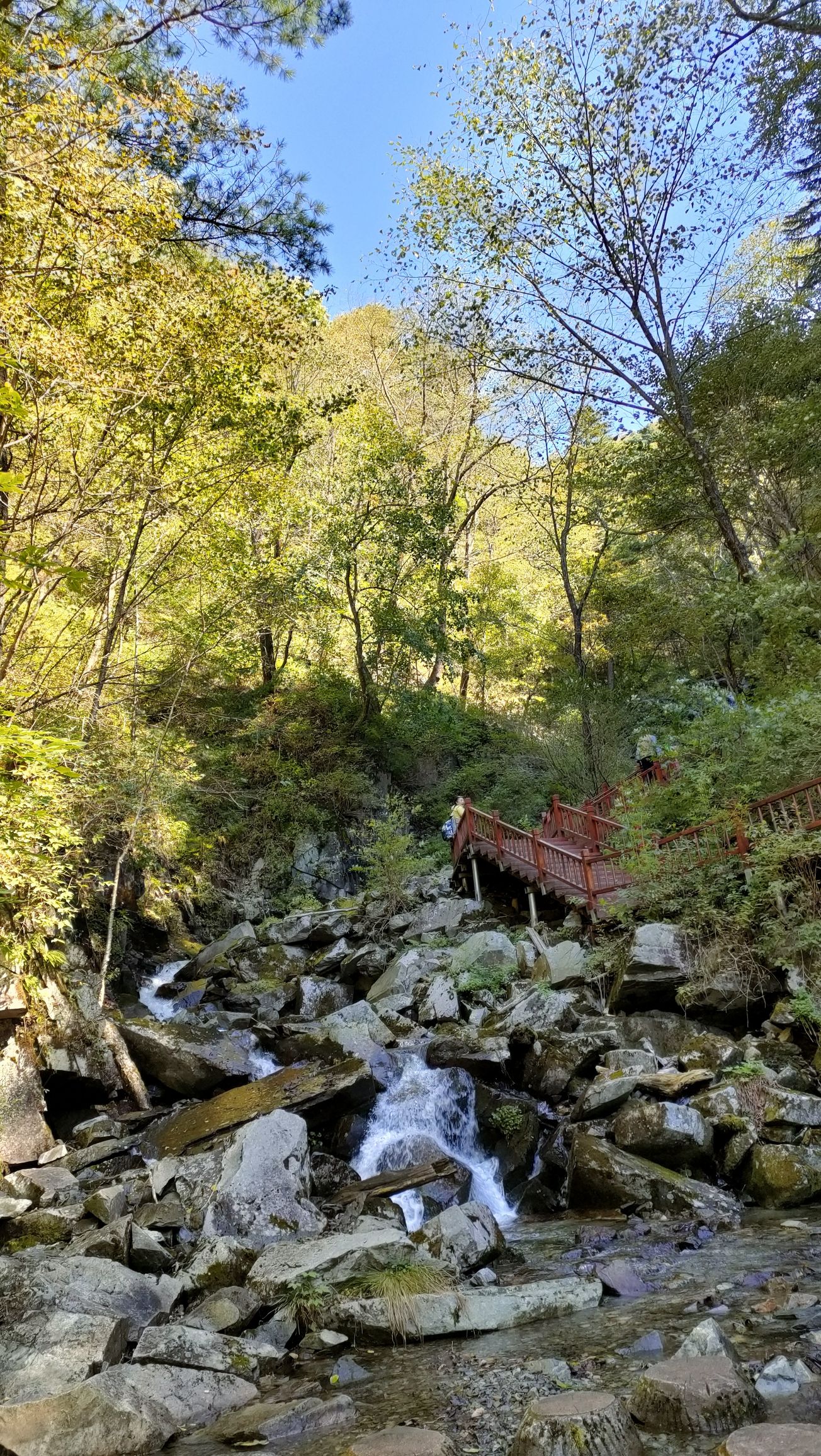 威虎山原始森林生态旅游风景区旅行图片 2