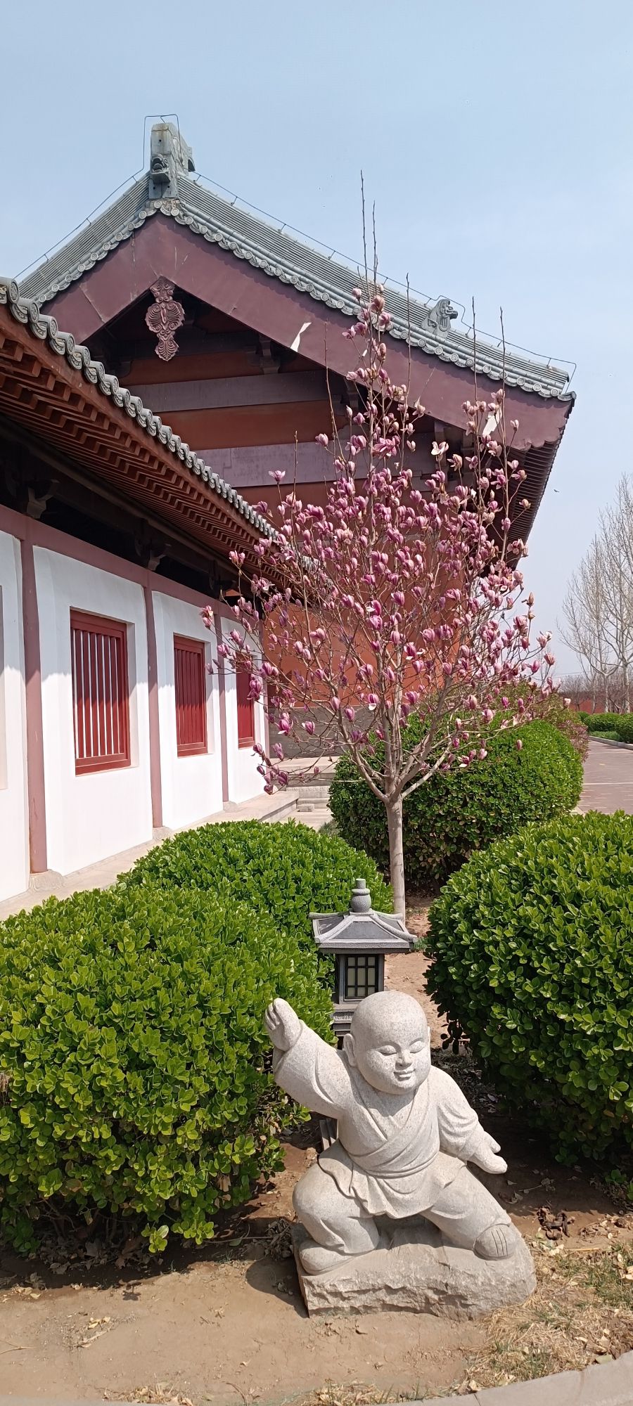 华藏世界旅行图片 3