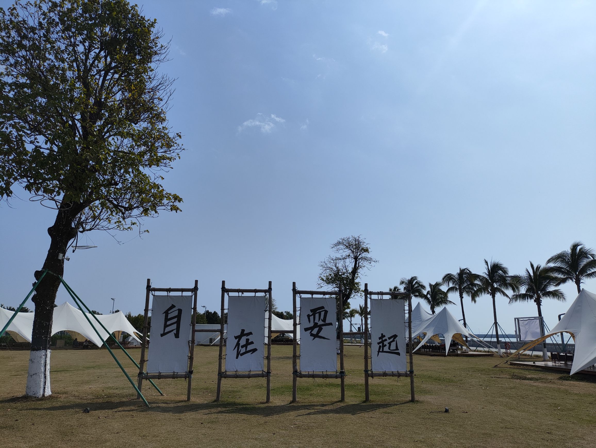 海岸公园旅行图片 2