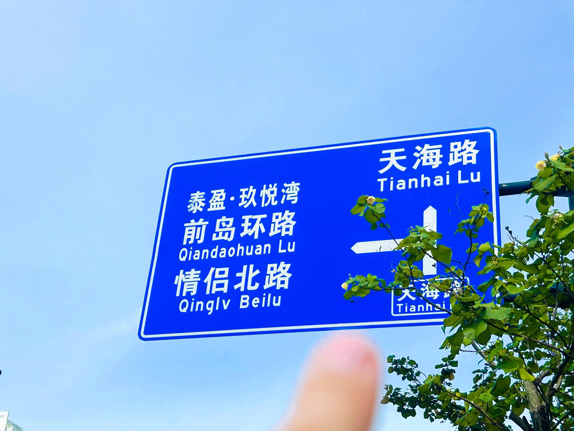 海岸公园旅行图片 1