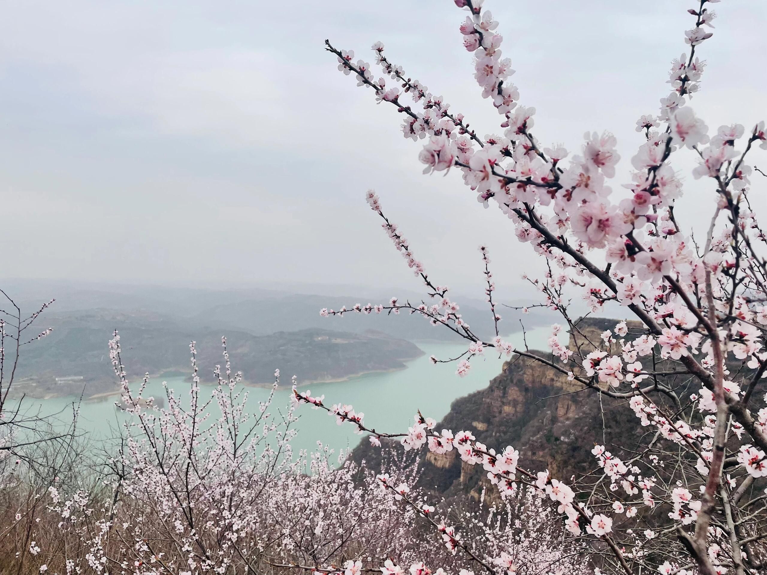 荆紫仙山景区旅行图片 3