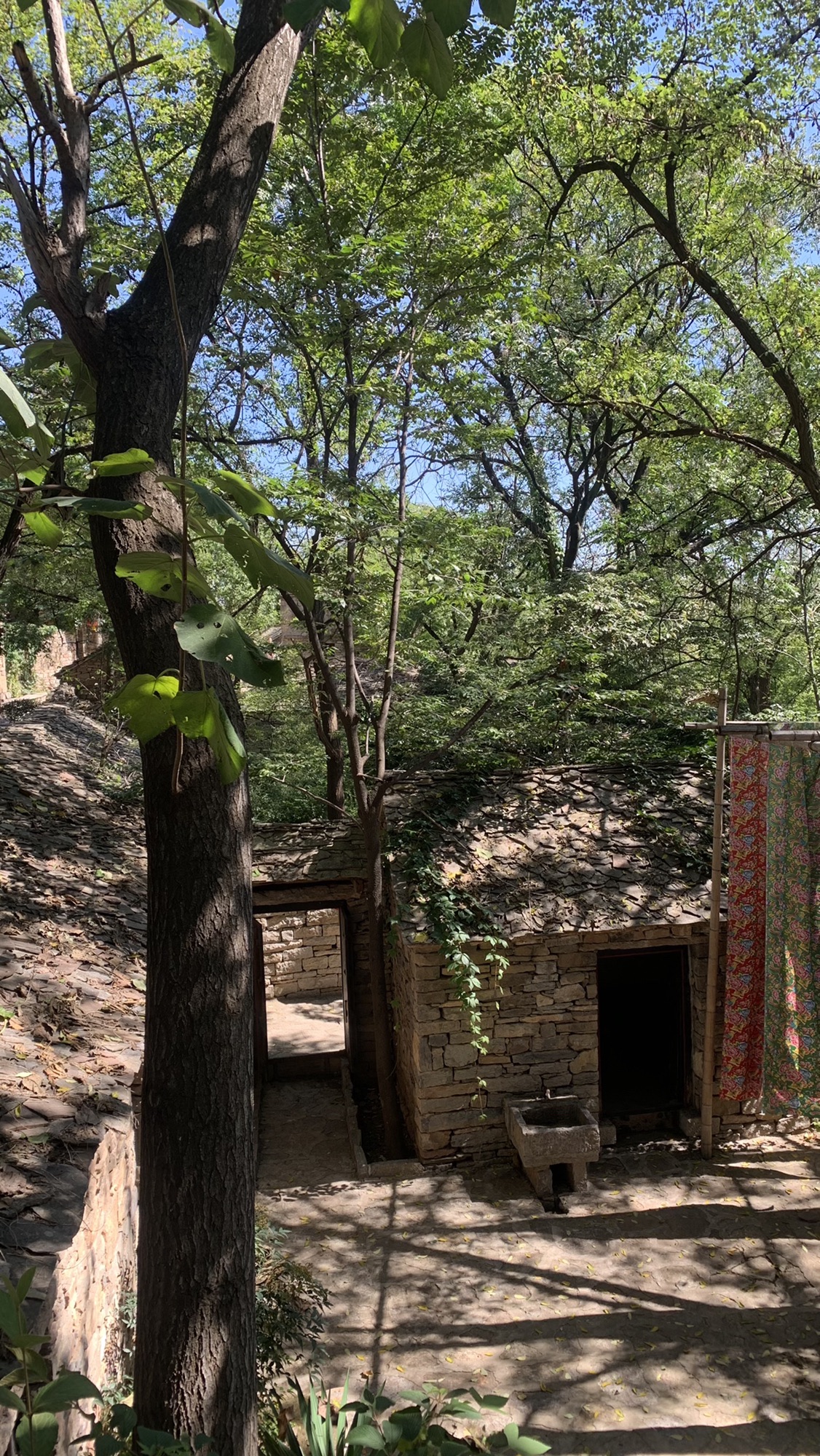 翼云石头部落旅行图片 1