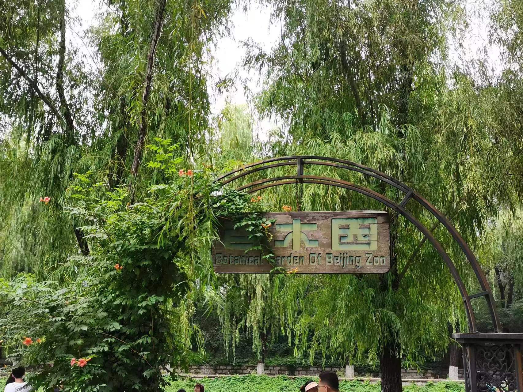 北京动物园-百木园