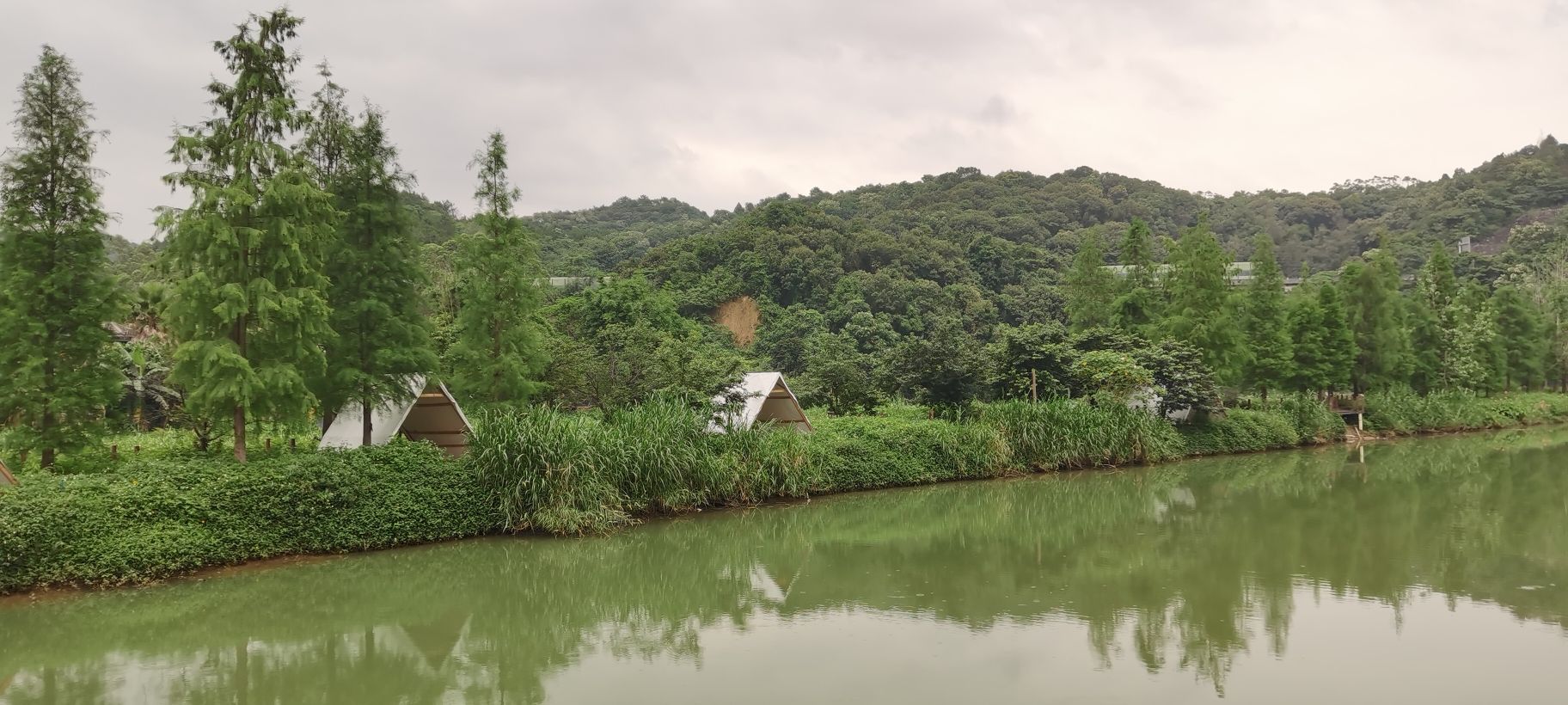 鹤鸣洲湿地公园(暂停开放)旅行图片 3