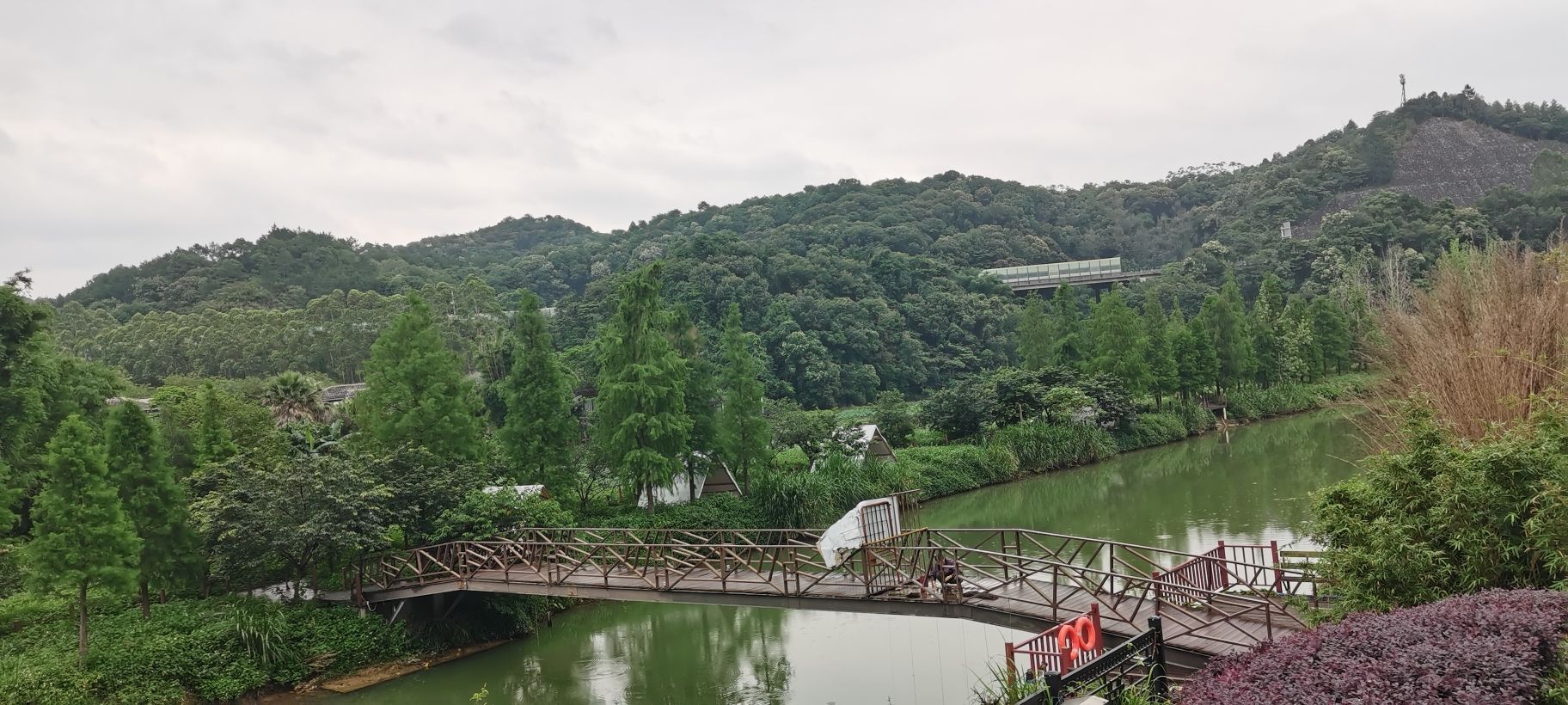 鹤鸣洲湿地公园(暂停开放)旅行图片 1