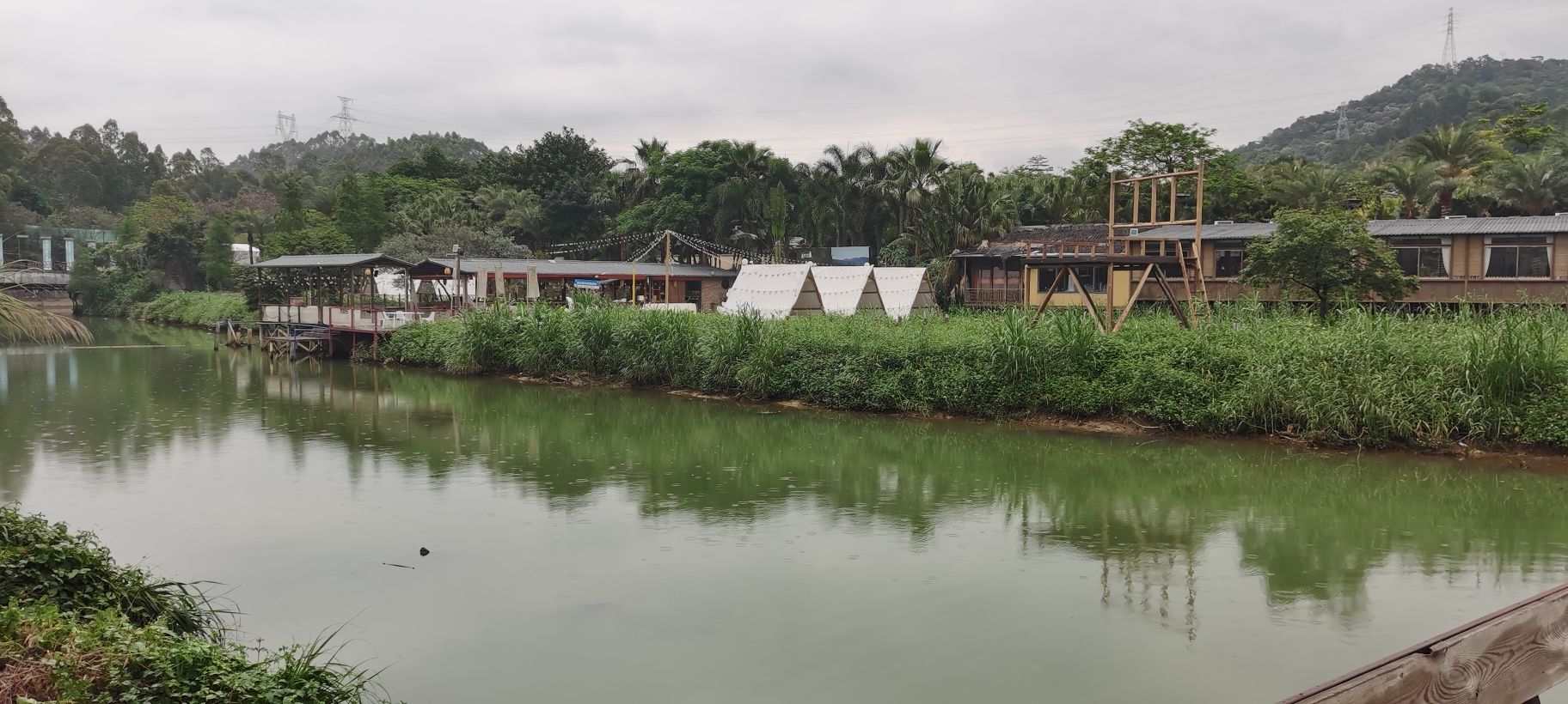 鹤鸣洲湿地公园(暂停开放)旅行图片 2