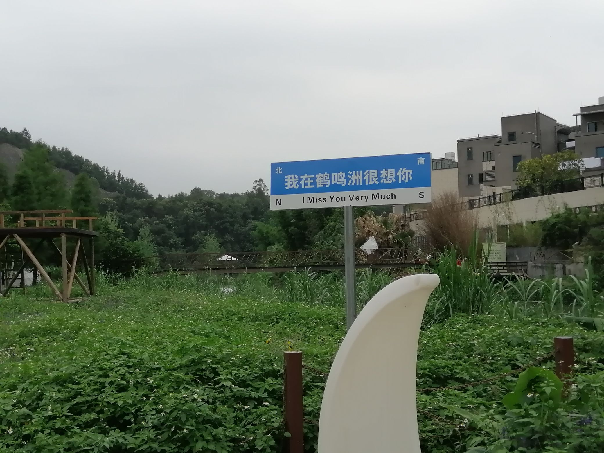 鹤鸣洲湿地公园(暂停开放)旅行图片 1