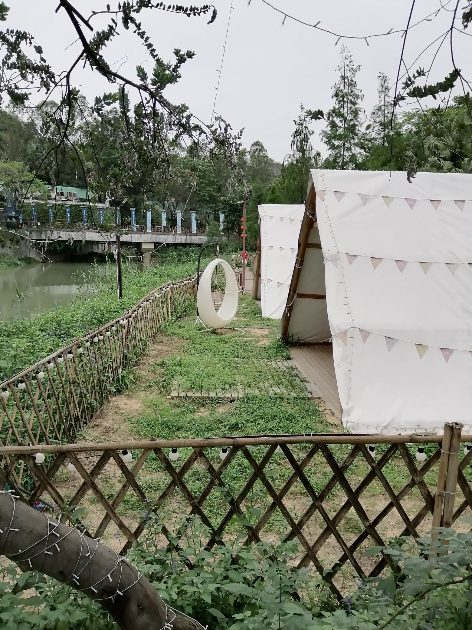 鹤鸣洲湿地公园(暂停开放)旅行图片 2