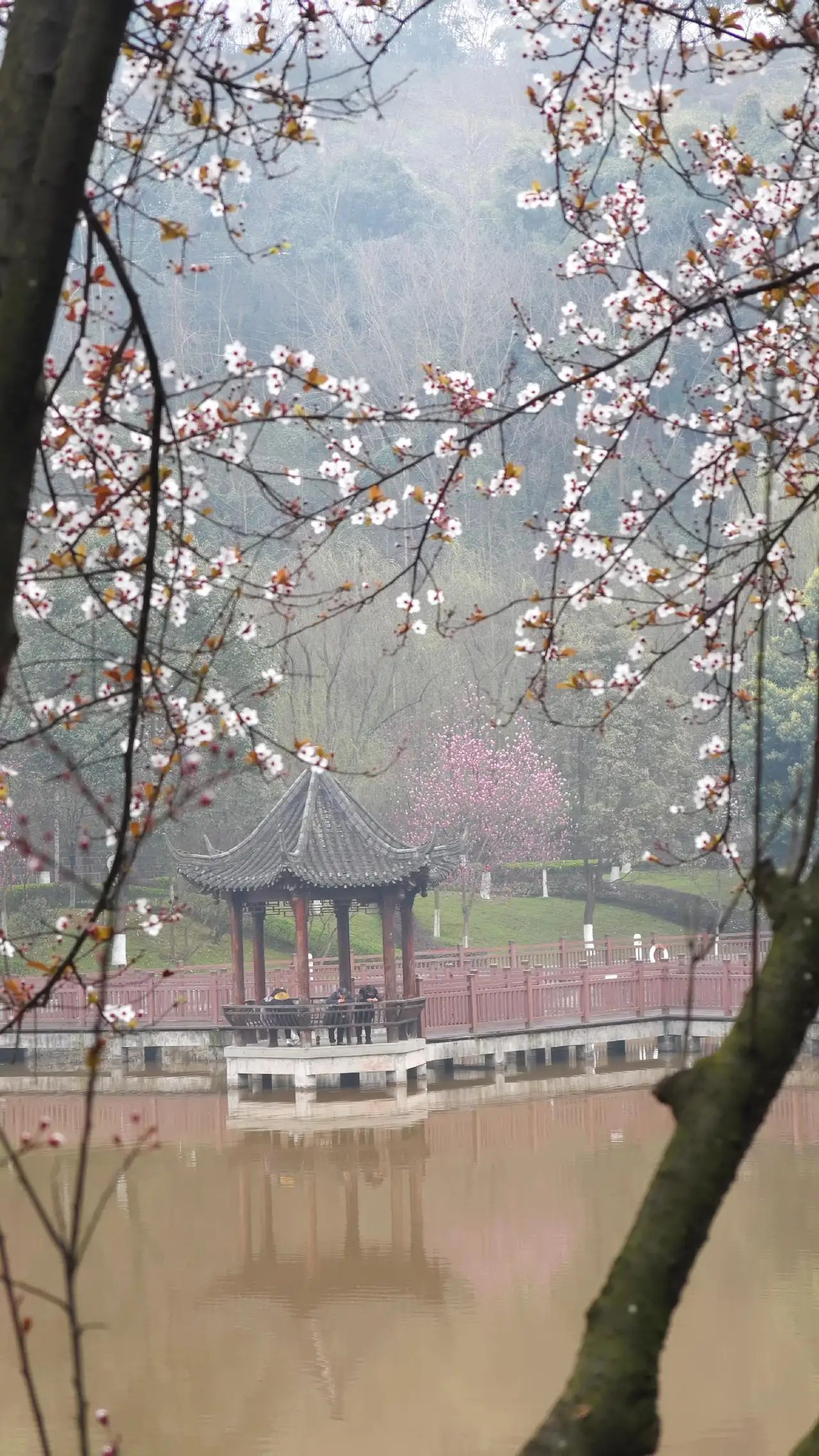 铜鼎山旅游区旅行图片 3