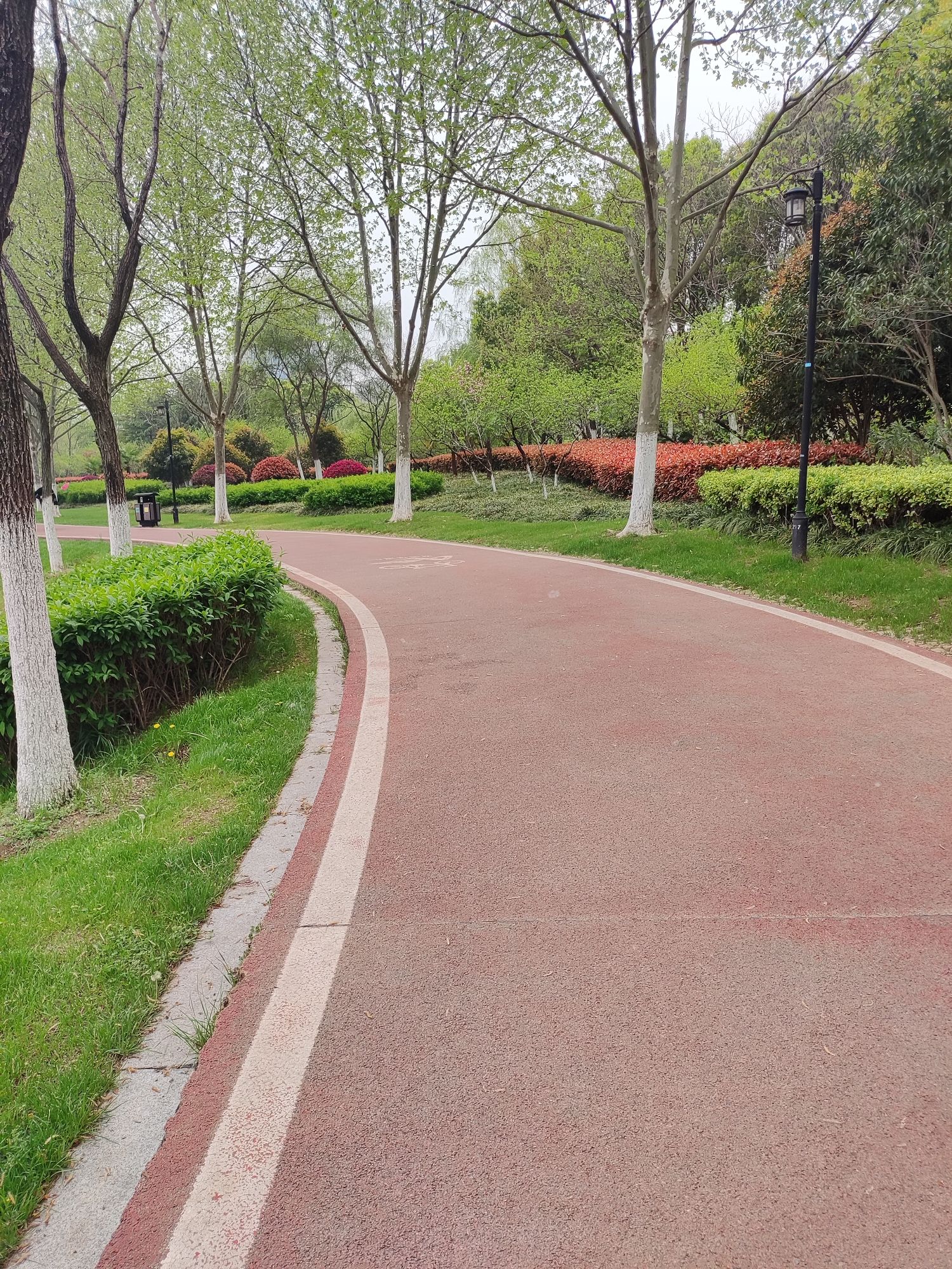 金斗公园旅行图片 3