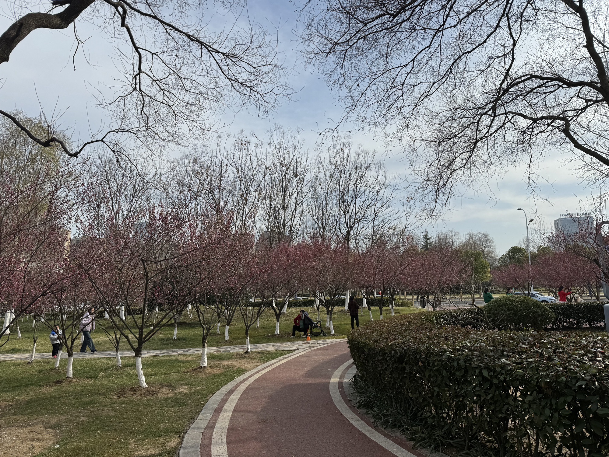 金斗公园旅行图片 1