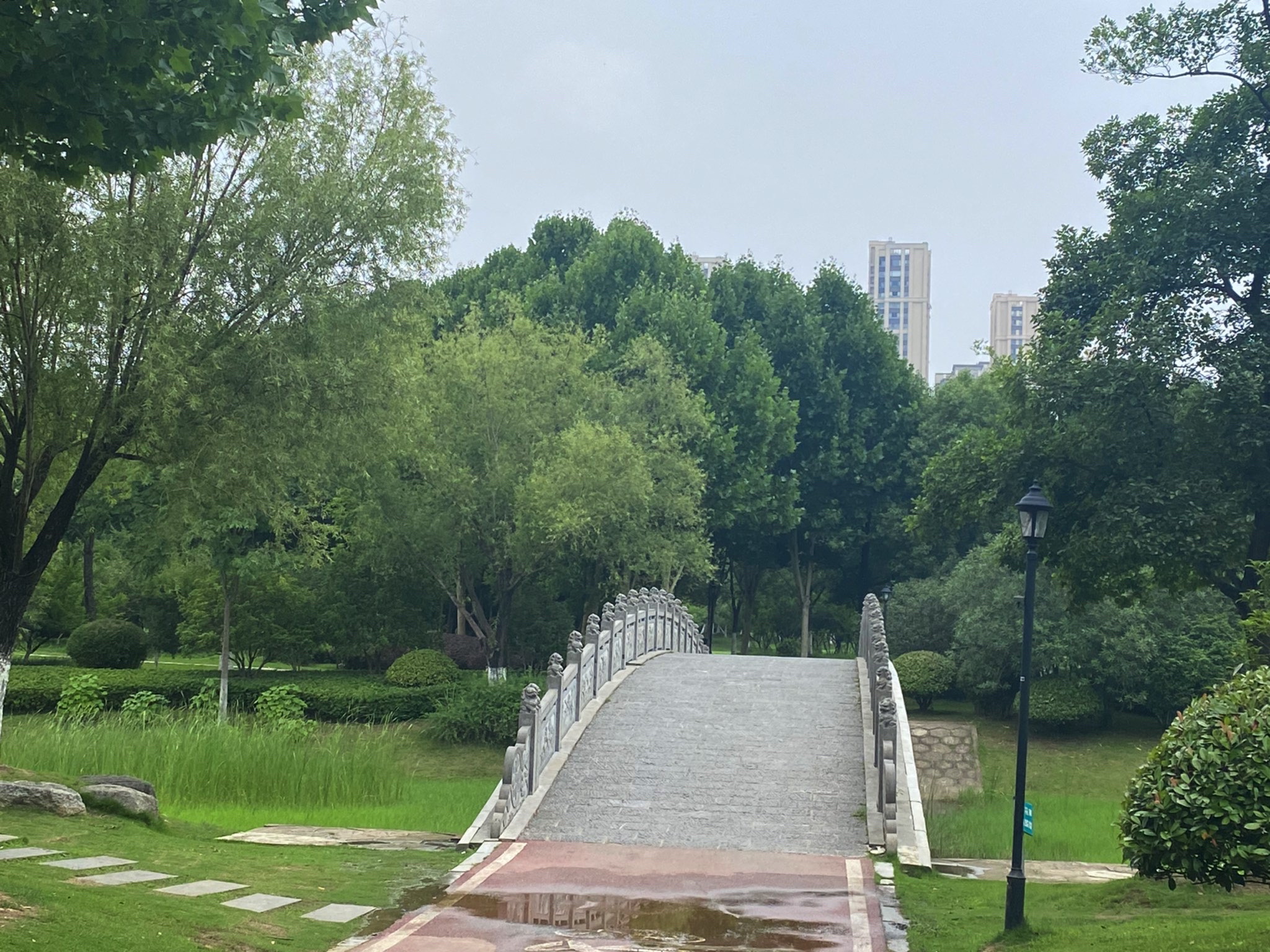 金斗公园旅行图片 1