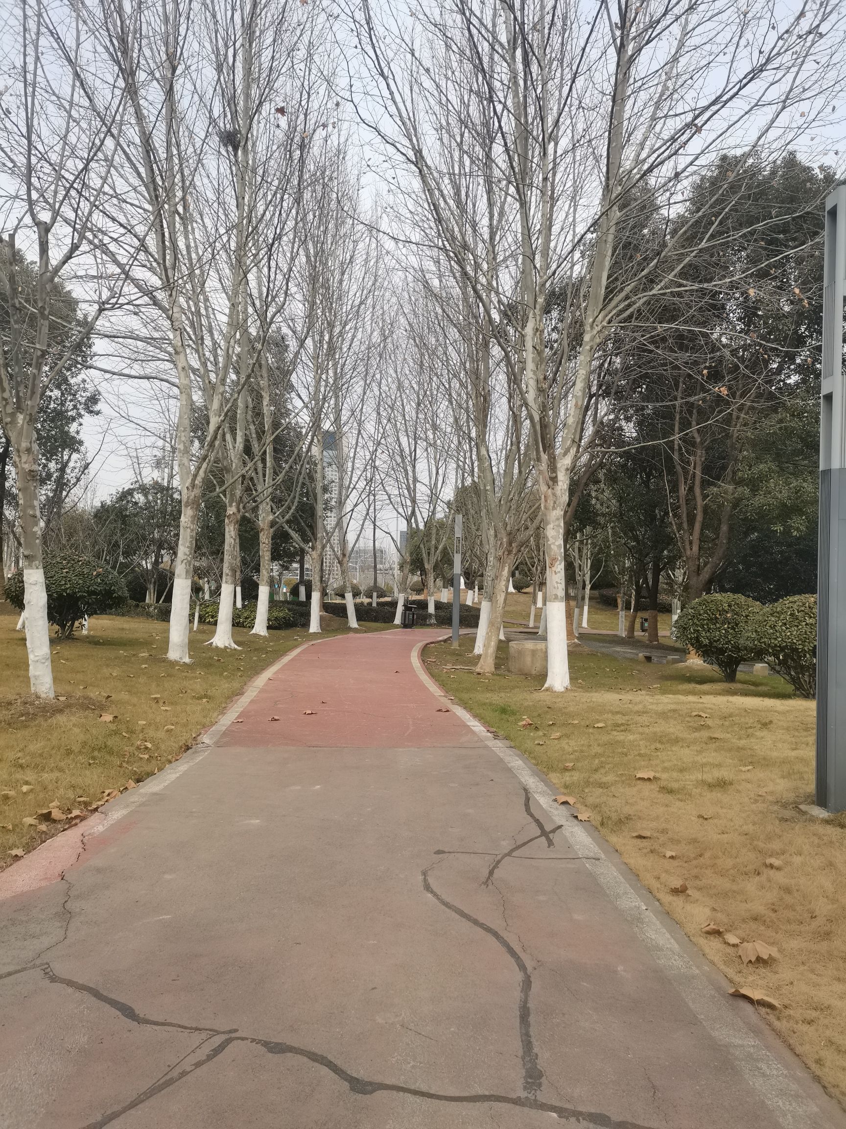 金斗公园旅行图片 3