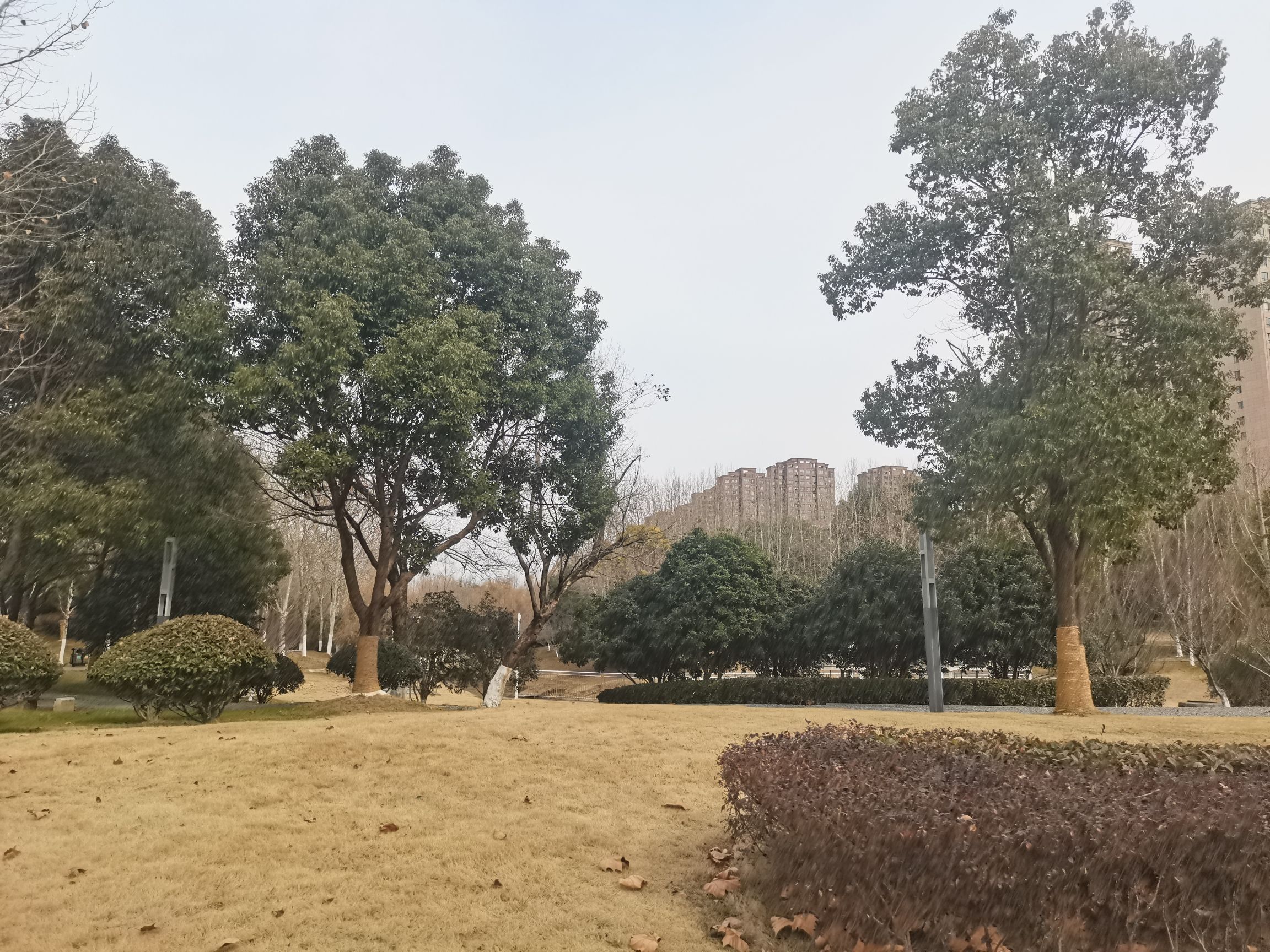 金斗公园旅行图片 2