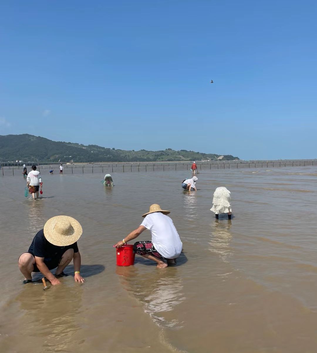 赶海一号旅行图片 1